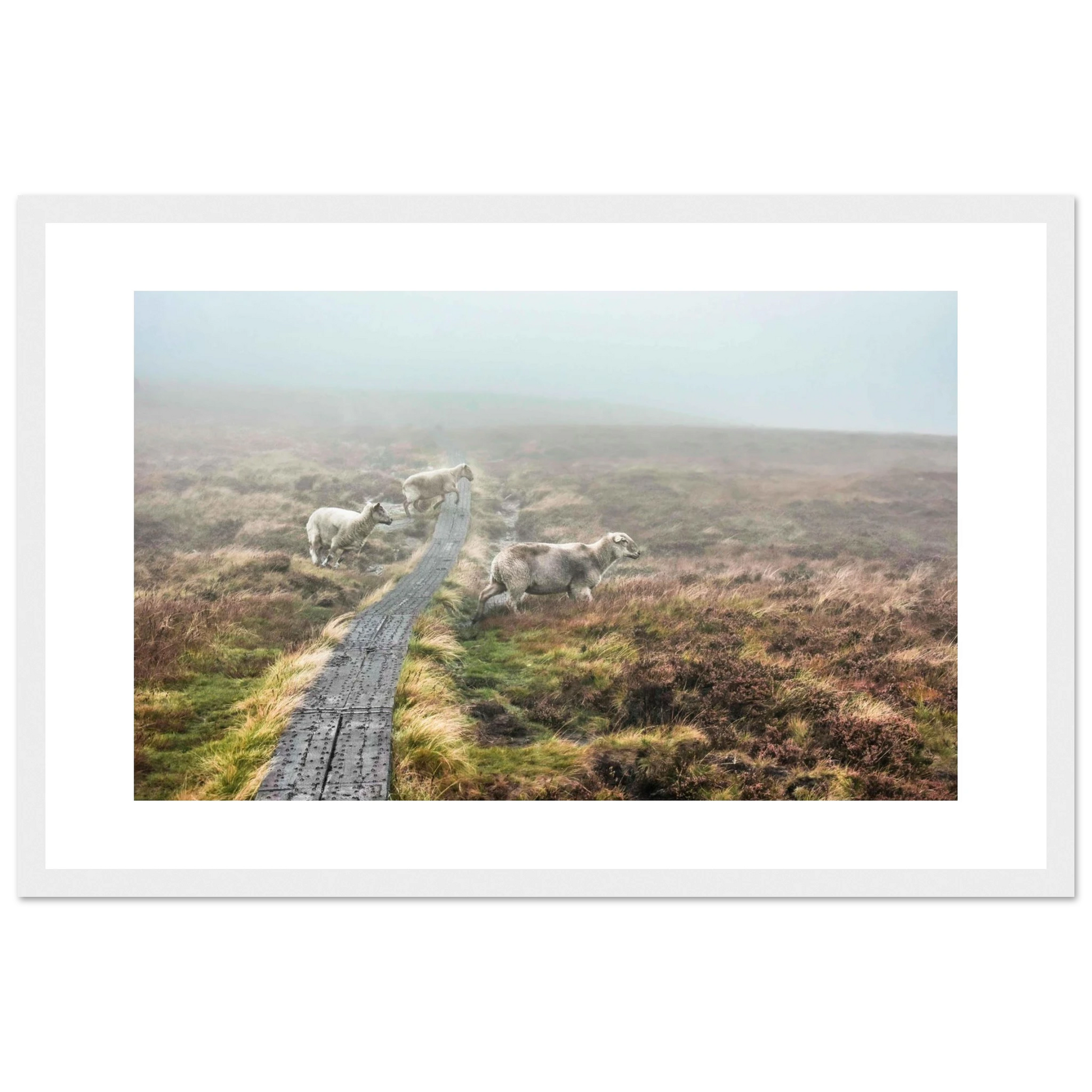 7aa86e00-75c8-44cb-8d54-ad3f122e7fa5