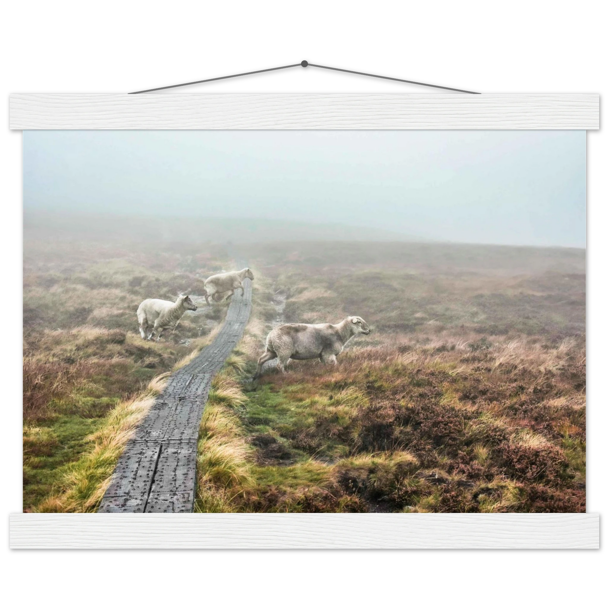 7ab2c2a8-f54a-4069-bc51-e8f4c426e2c2