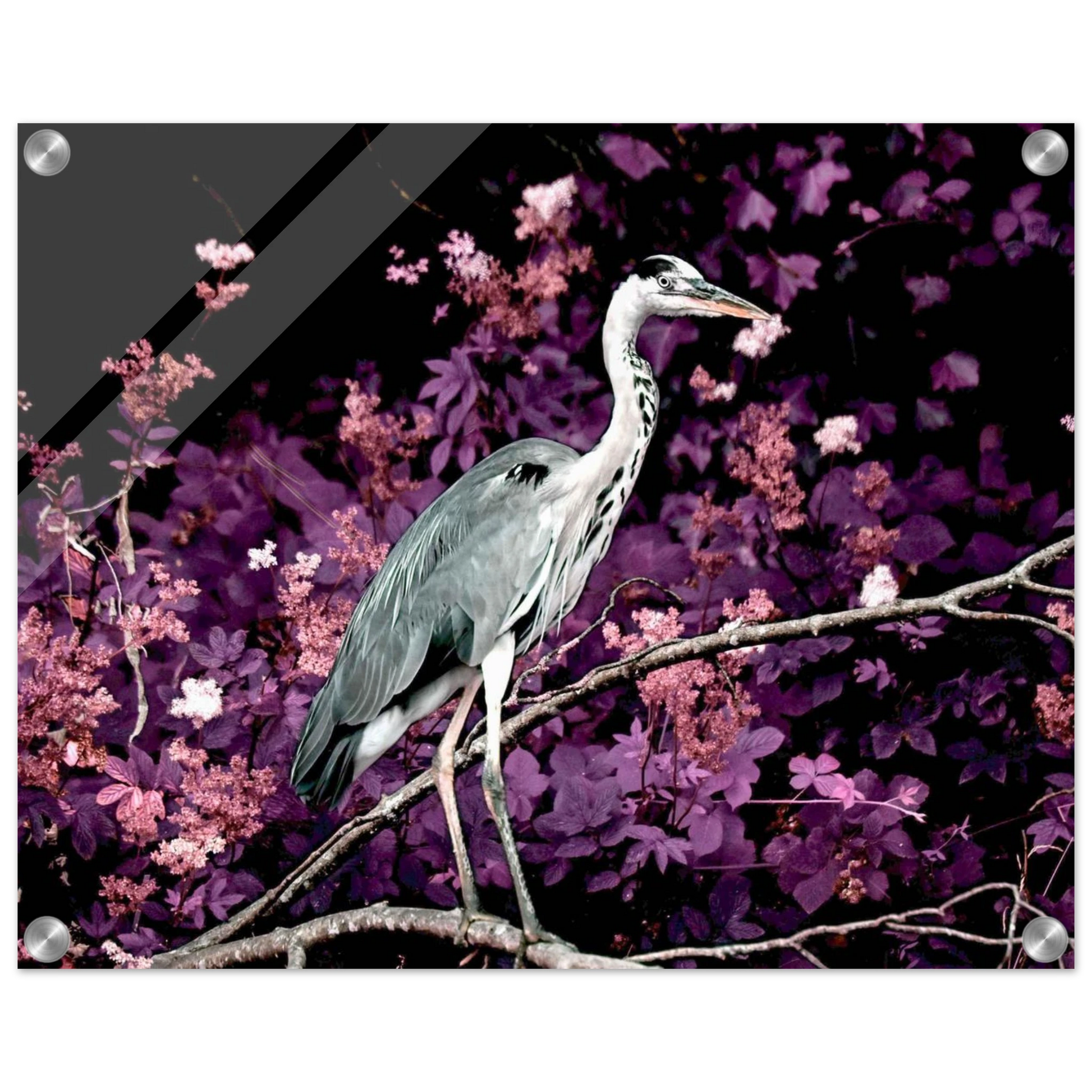 7adade09-7117-473b-b376-3d04e774f249