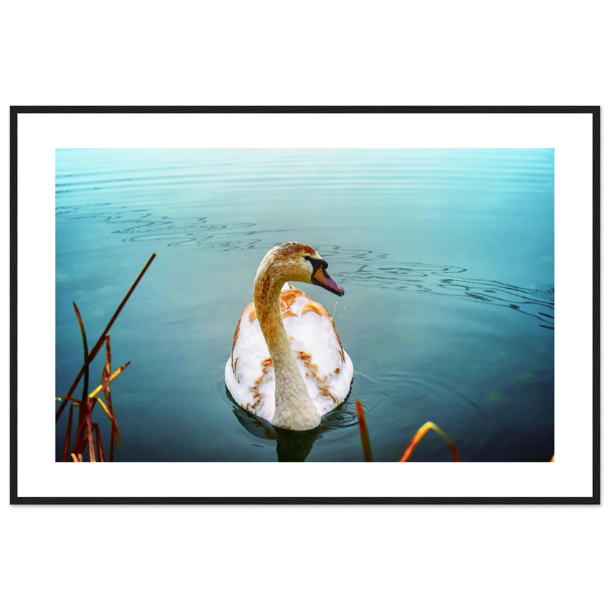 7ae19064-a982-4334-a70c-57c5fd09d2c2