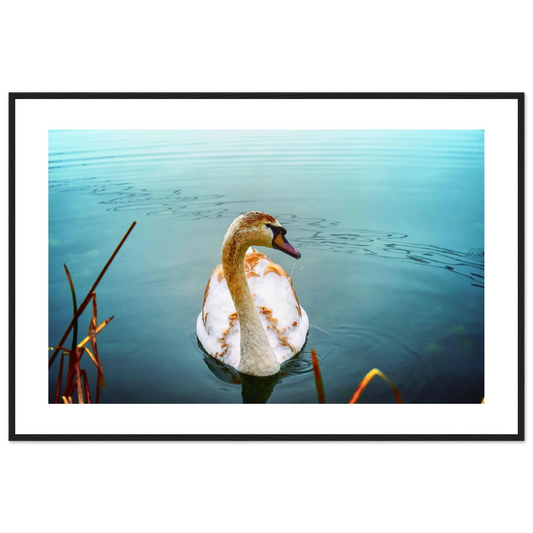 7ae19064-a982-4334-a70c-57c5fd09d2c2