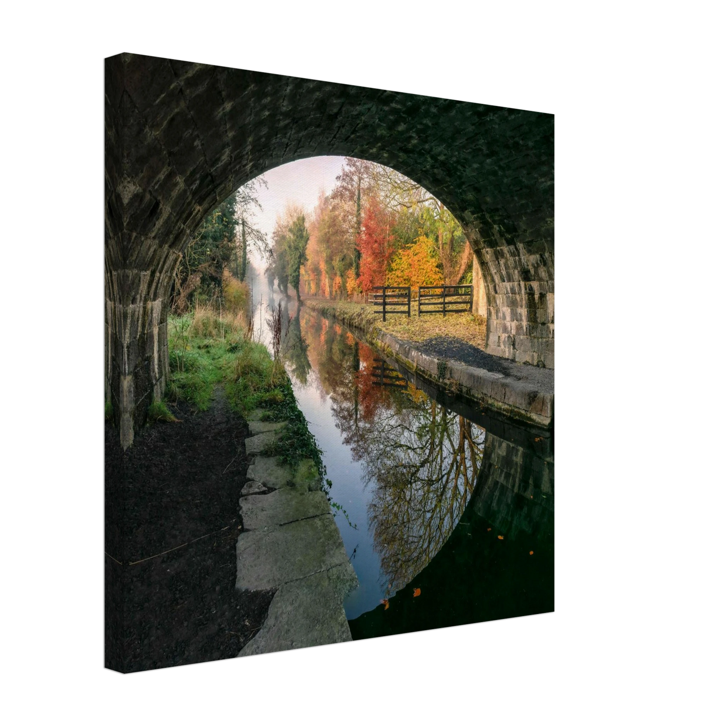 7b36812e-d4b9-49f3-a3d3-65ded31107f0