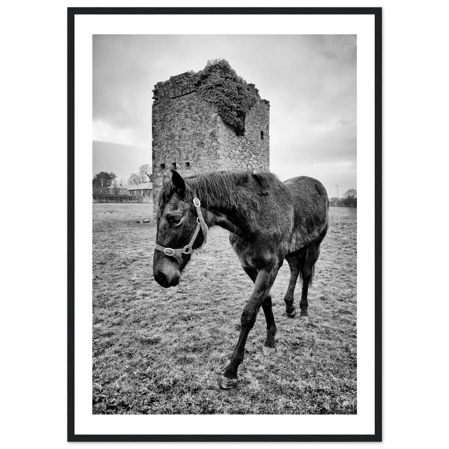 7ba5df5d-83dd-4e79-9fce-b7231e08d879