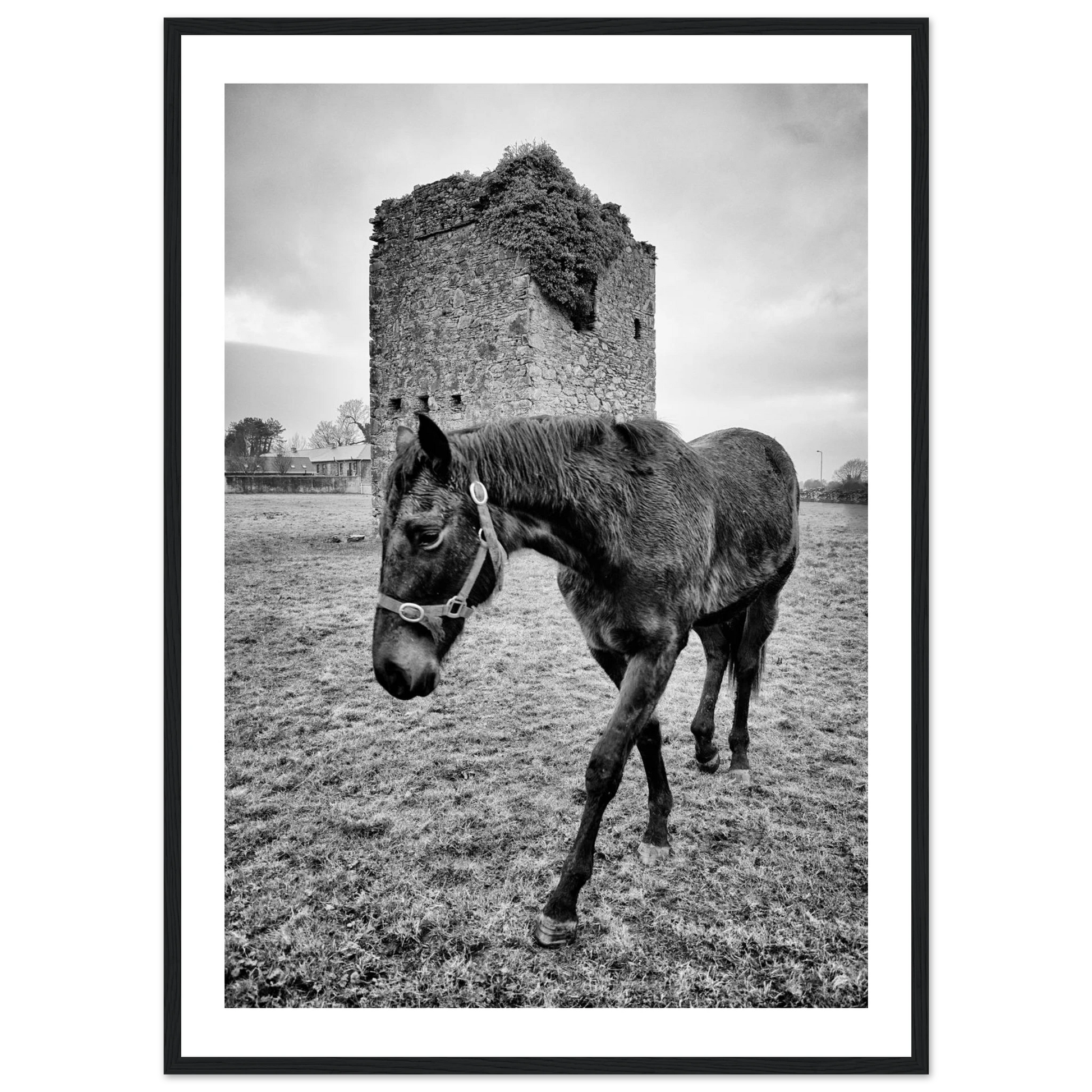 7ba5df5d-83dd-4e79-9fce-b7231e08d879