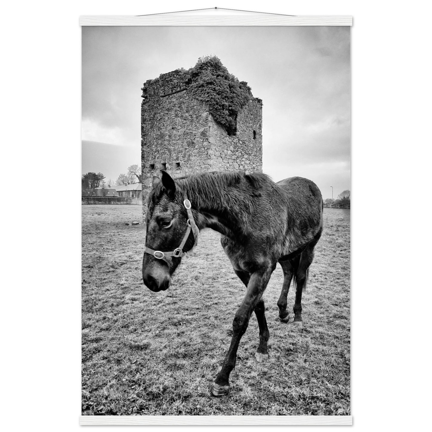 7c3c2166-3491-491e-8b1a-1f5716d4f78d