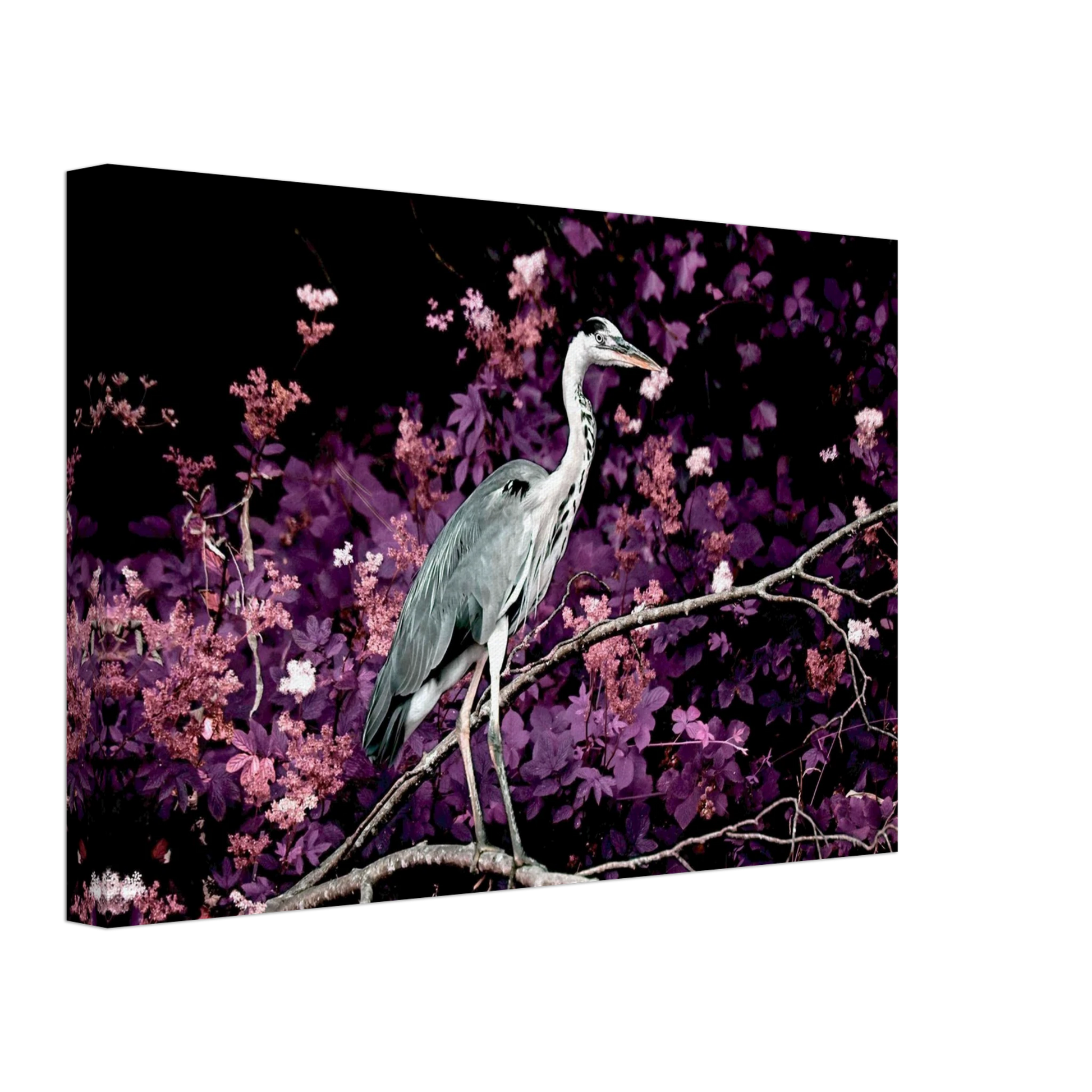 7d0a4b6e-062b-4d5d-8f8c-c2f88e633211