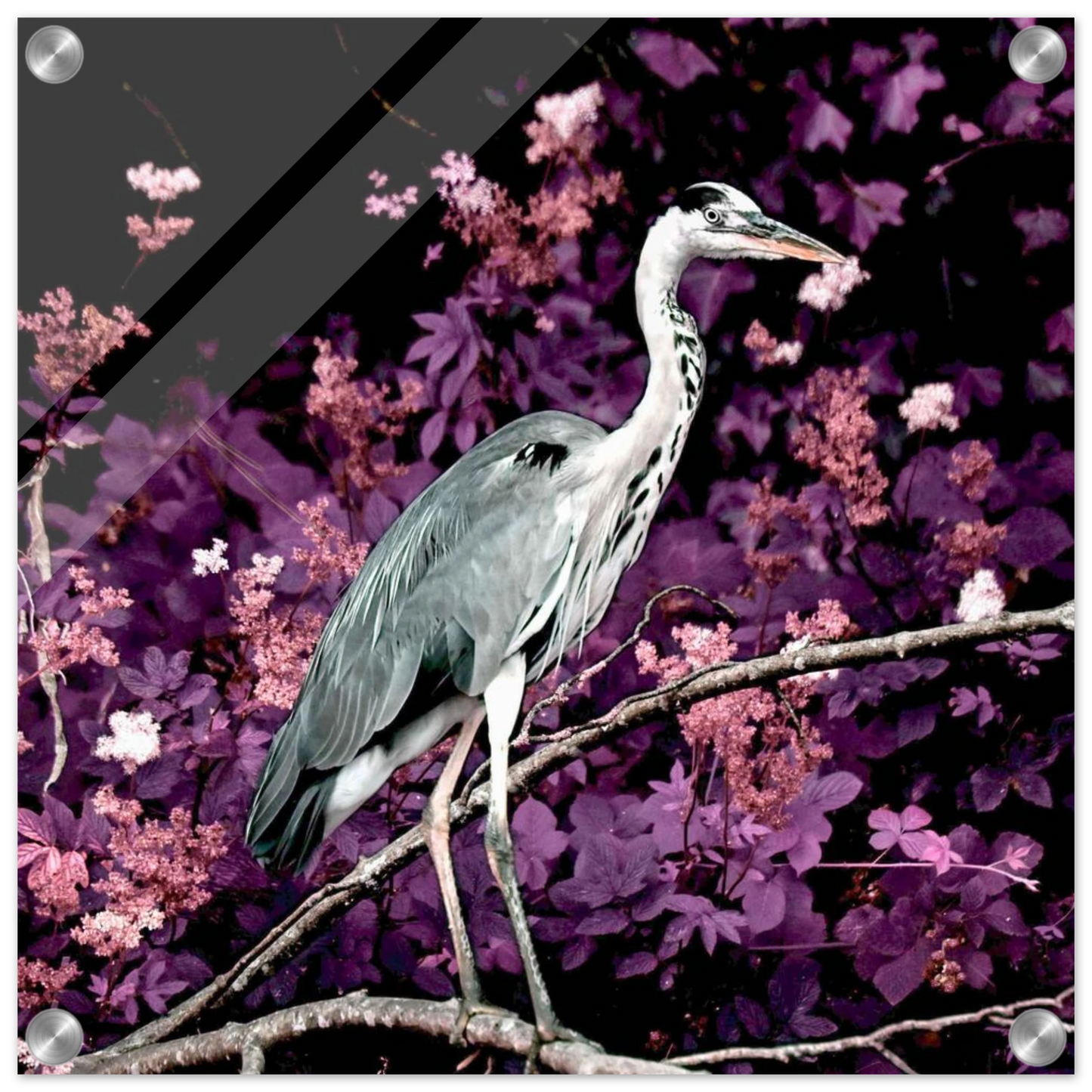 7dc4ffe8-83c8-4f5a-bda7-814dc7b1d1d2