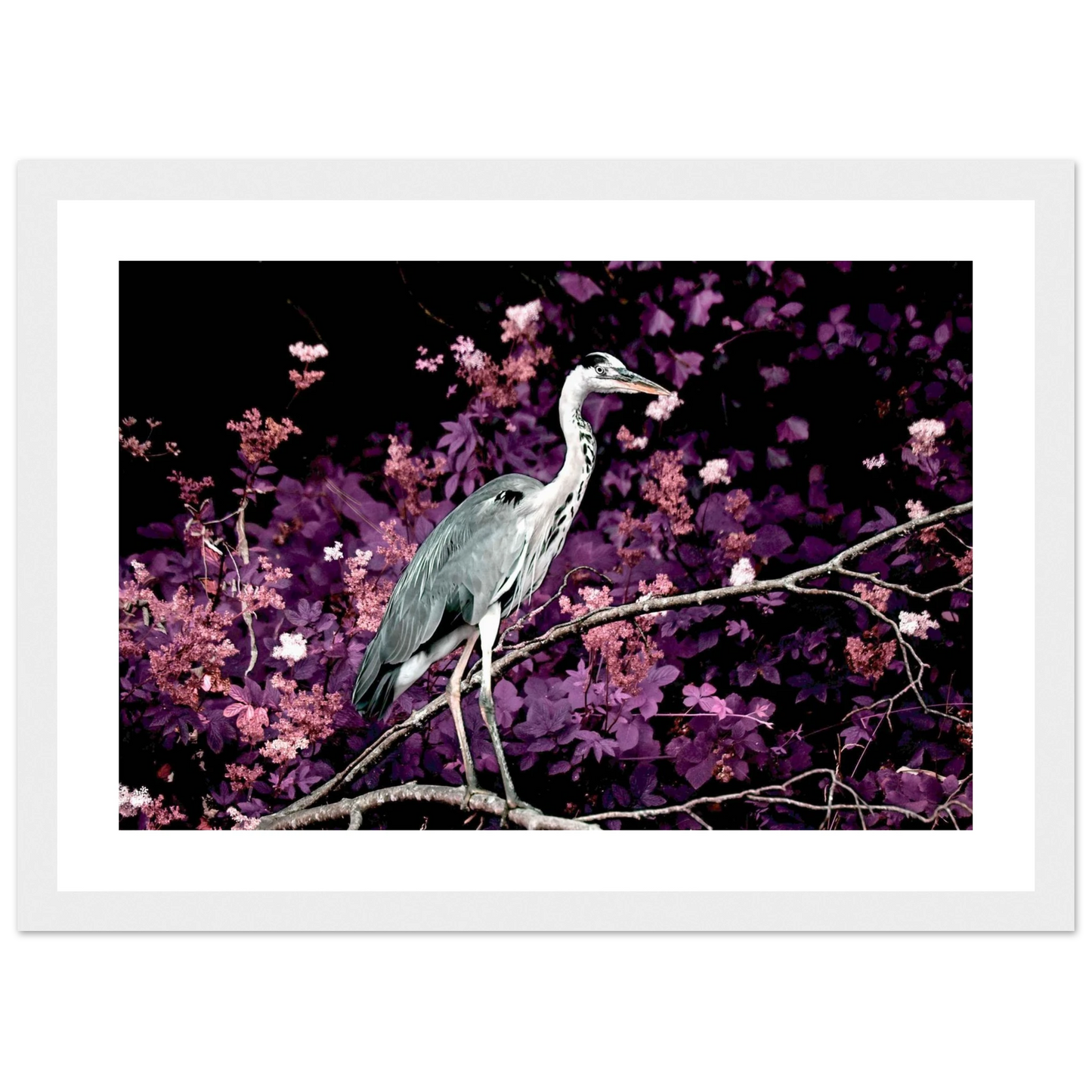 7def3a02-782c-4bd5-9492-e011fd3fe356