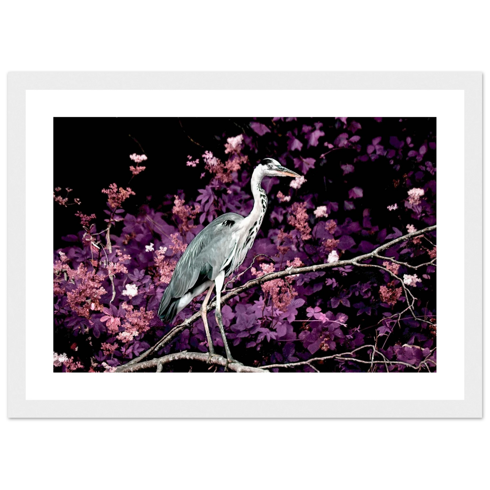 7def3a02-782c-4bd5-9492-e011fd3fe356