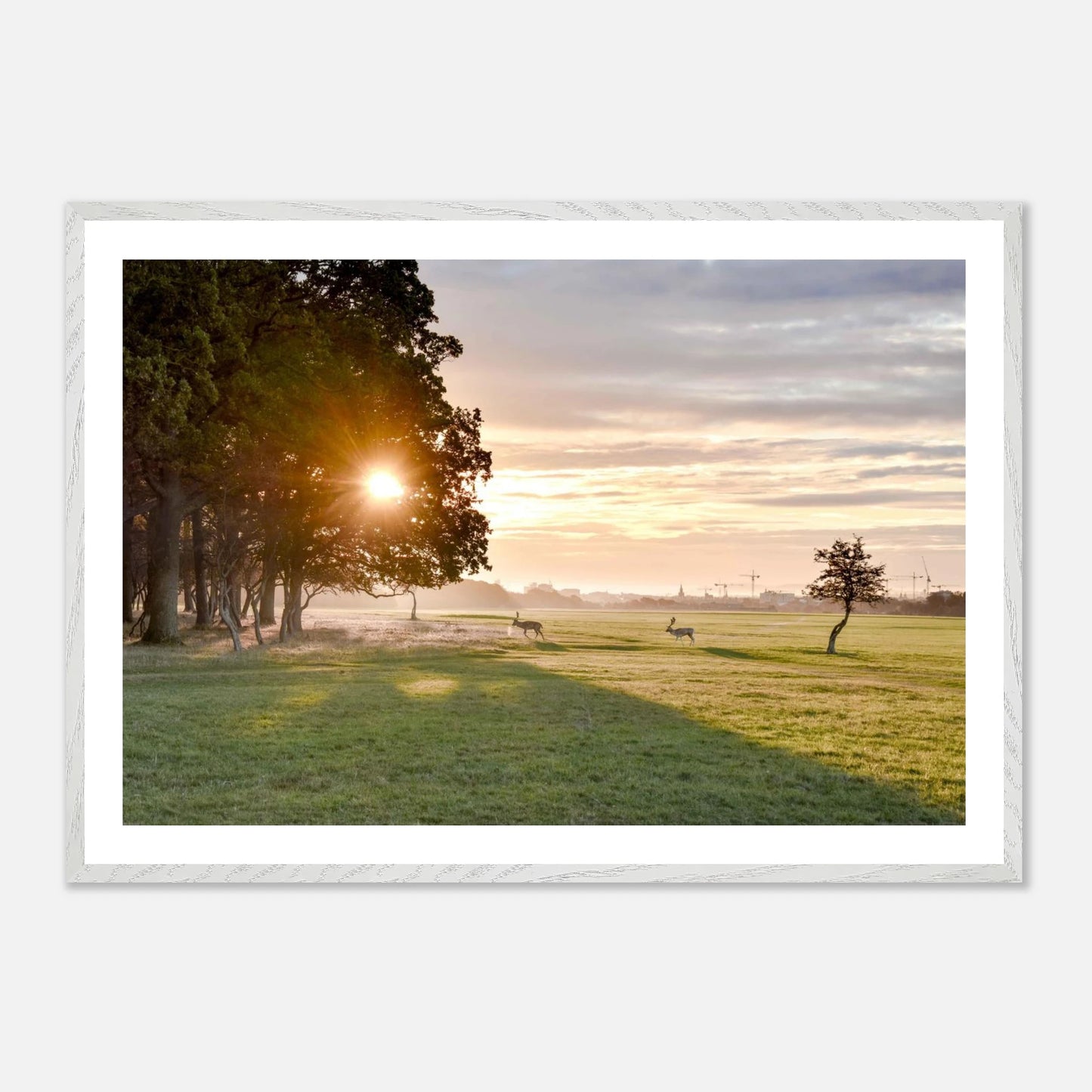 7e6b5d5a-0e94-4e83-8ca3-e51ebf2b2a60