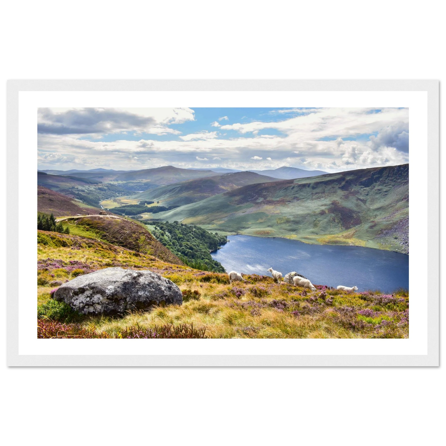 7ed00741-cc2e-4078-9774-cf0ce0351a8c