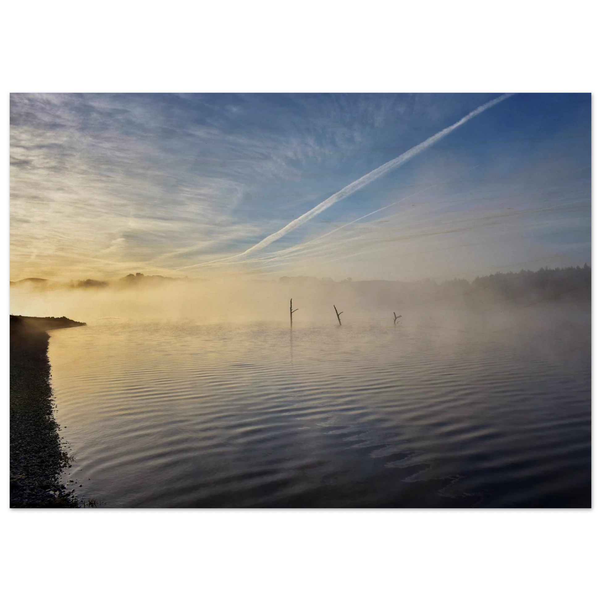 7f2609b0-dfd9-4ac1-bdff-c2d7f7300bd4