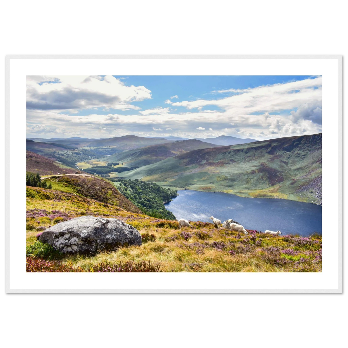 7f434856-06fe-483b-a928-c39d0961b395