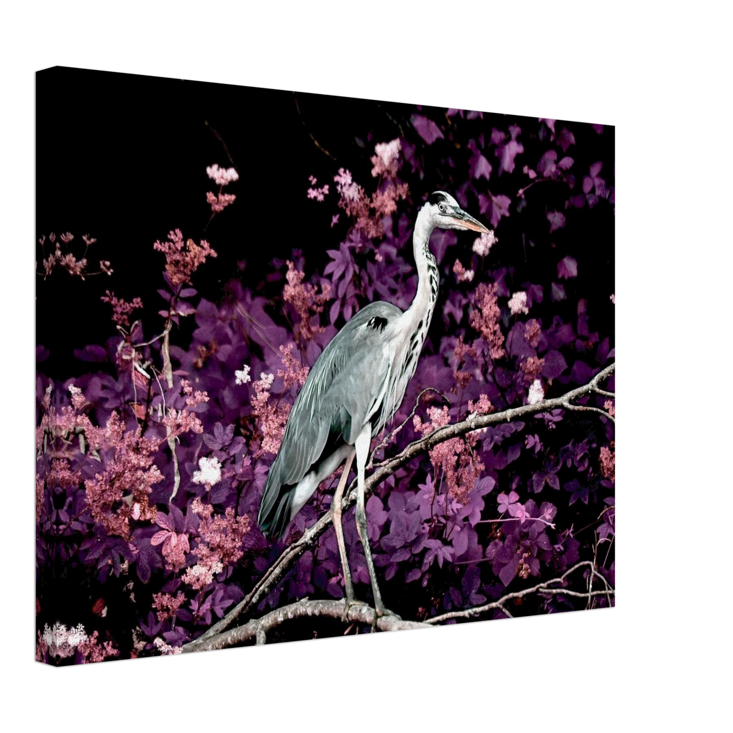 7f484ddc-fe1a-43f3-a17f-a1b47671b1d0