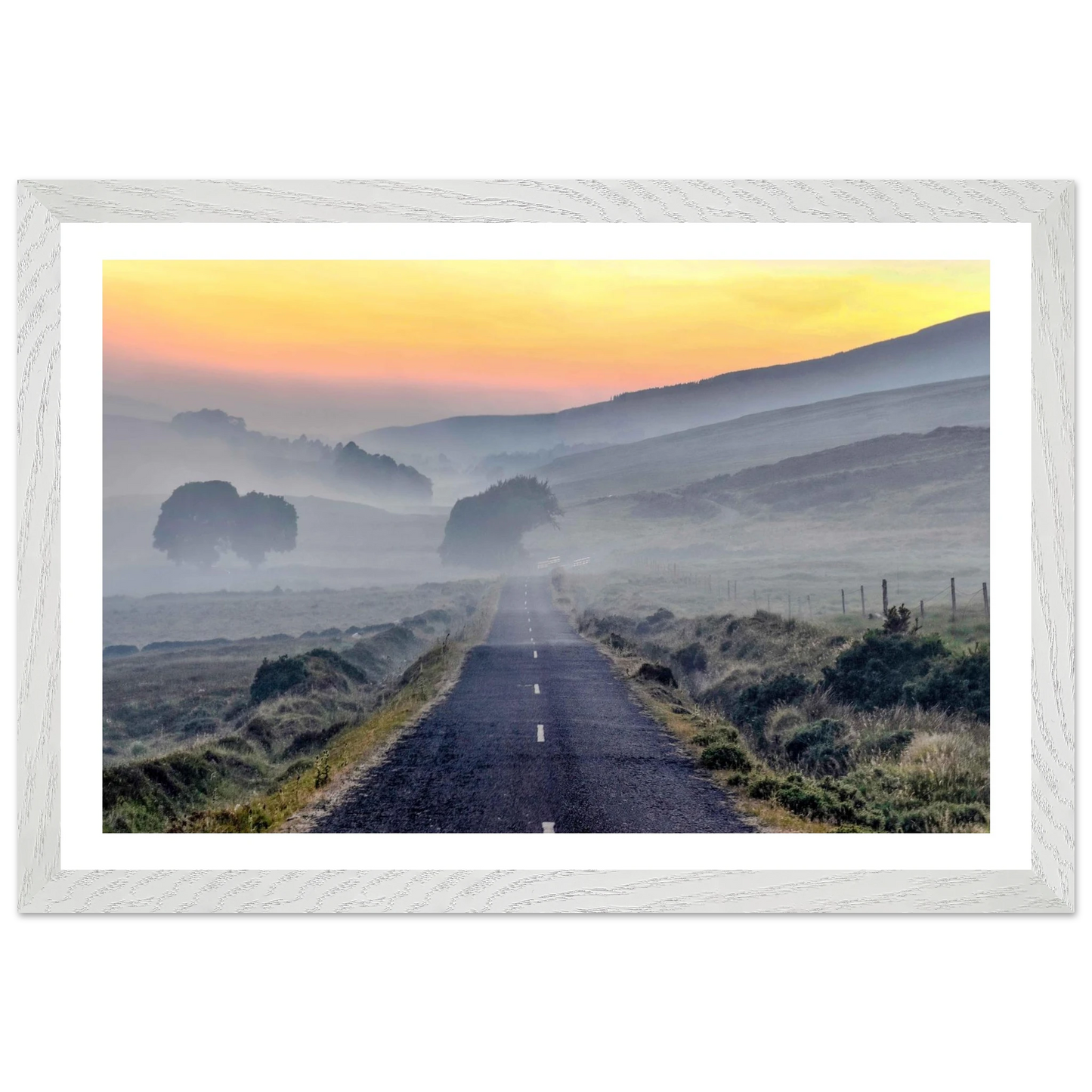 80899650-8946-4d77-9ee1-2ace25da7f97