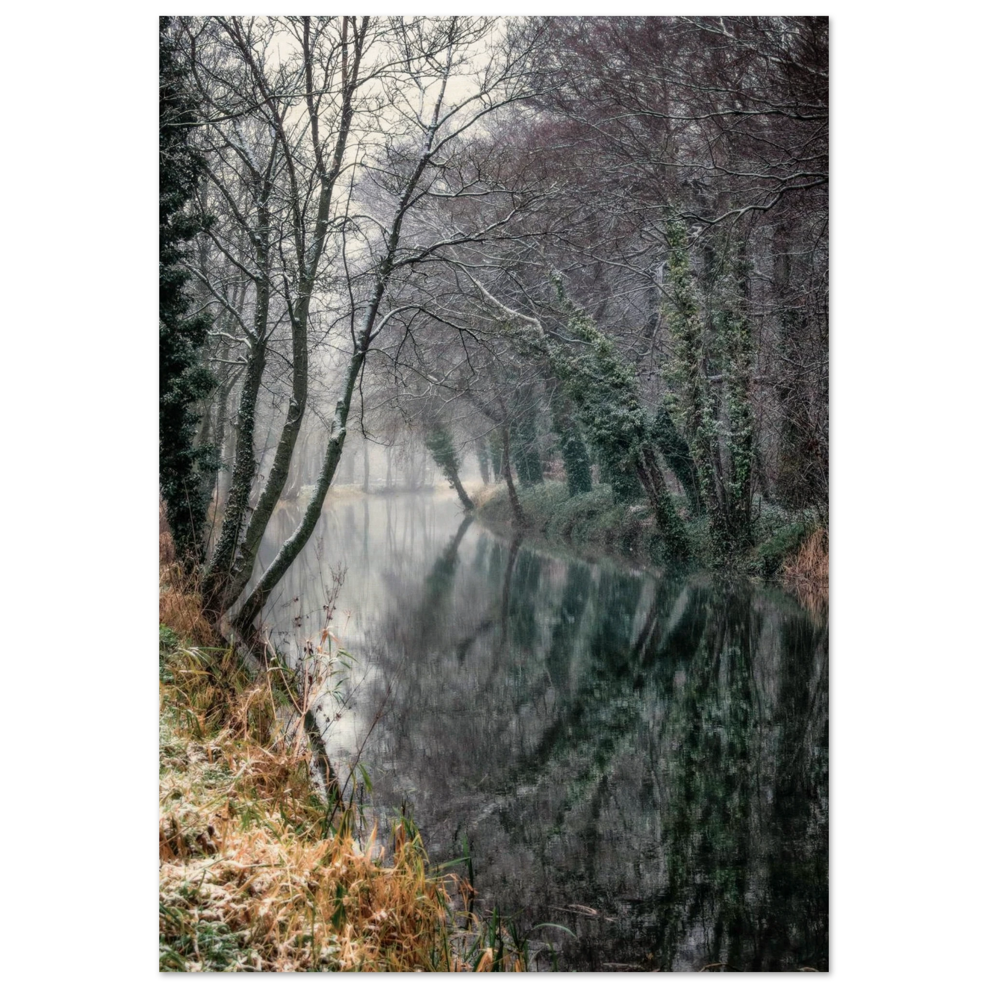 80b2f0e2-1838-4ffe-b03c-eced0435d101