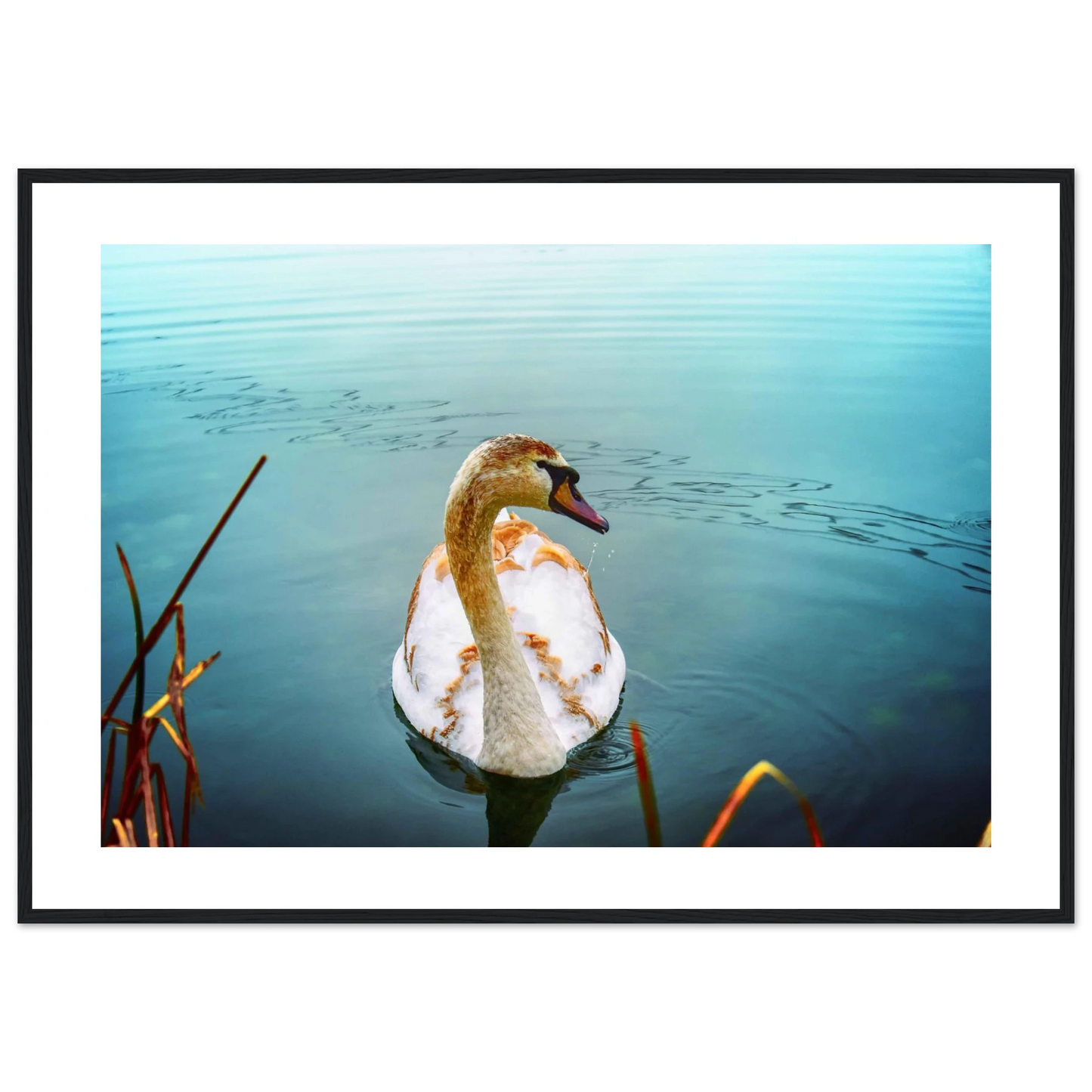 80e3e860-c1cd-46f8-9618-5bb8ecd392dd