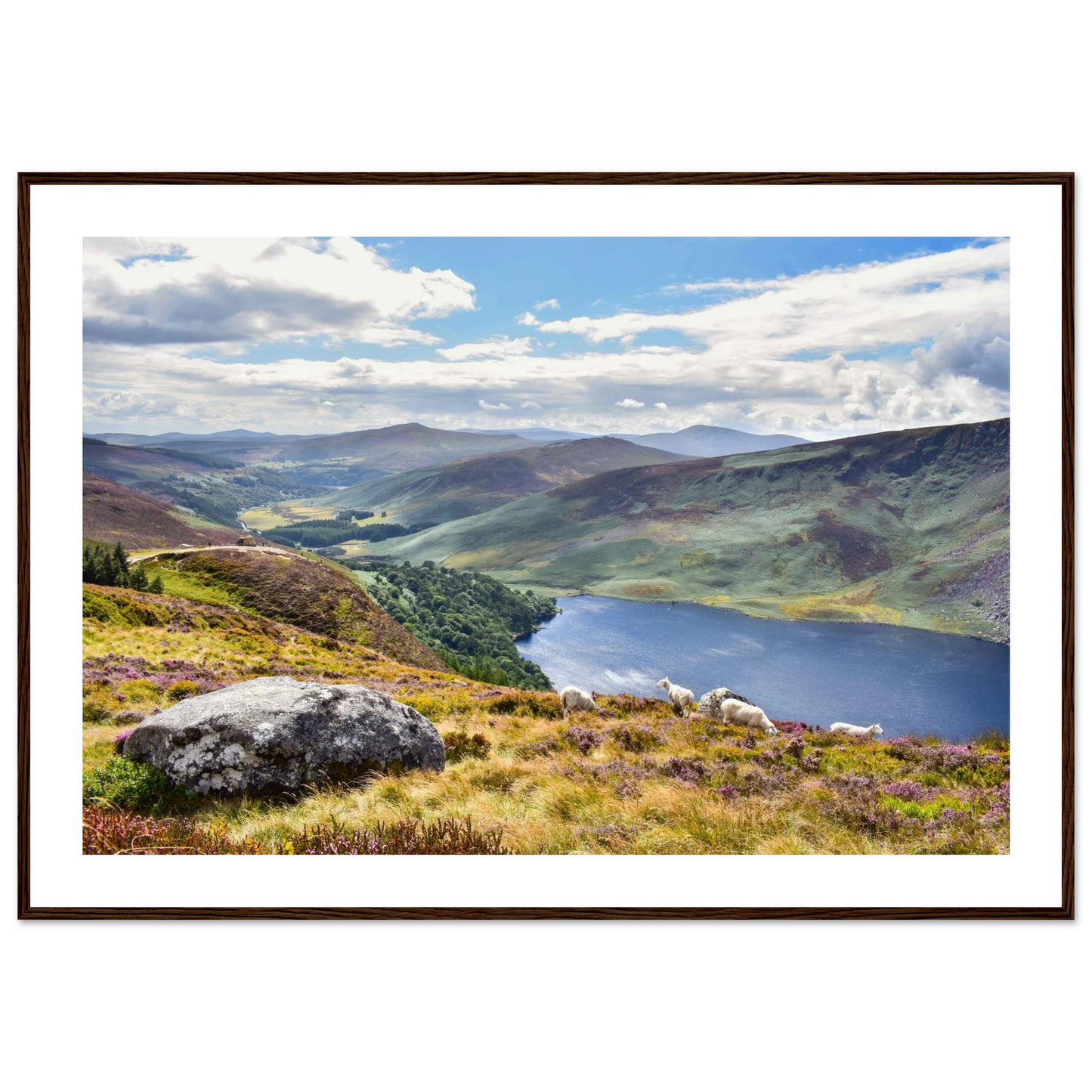 810b7719-0697-43e2-be87-dd5b5fc3dcae