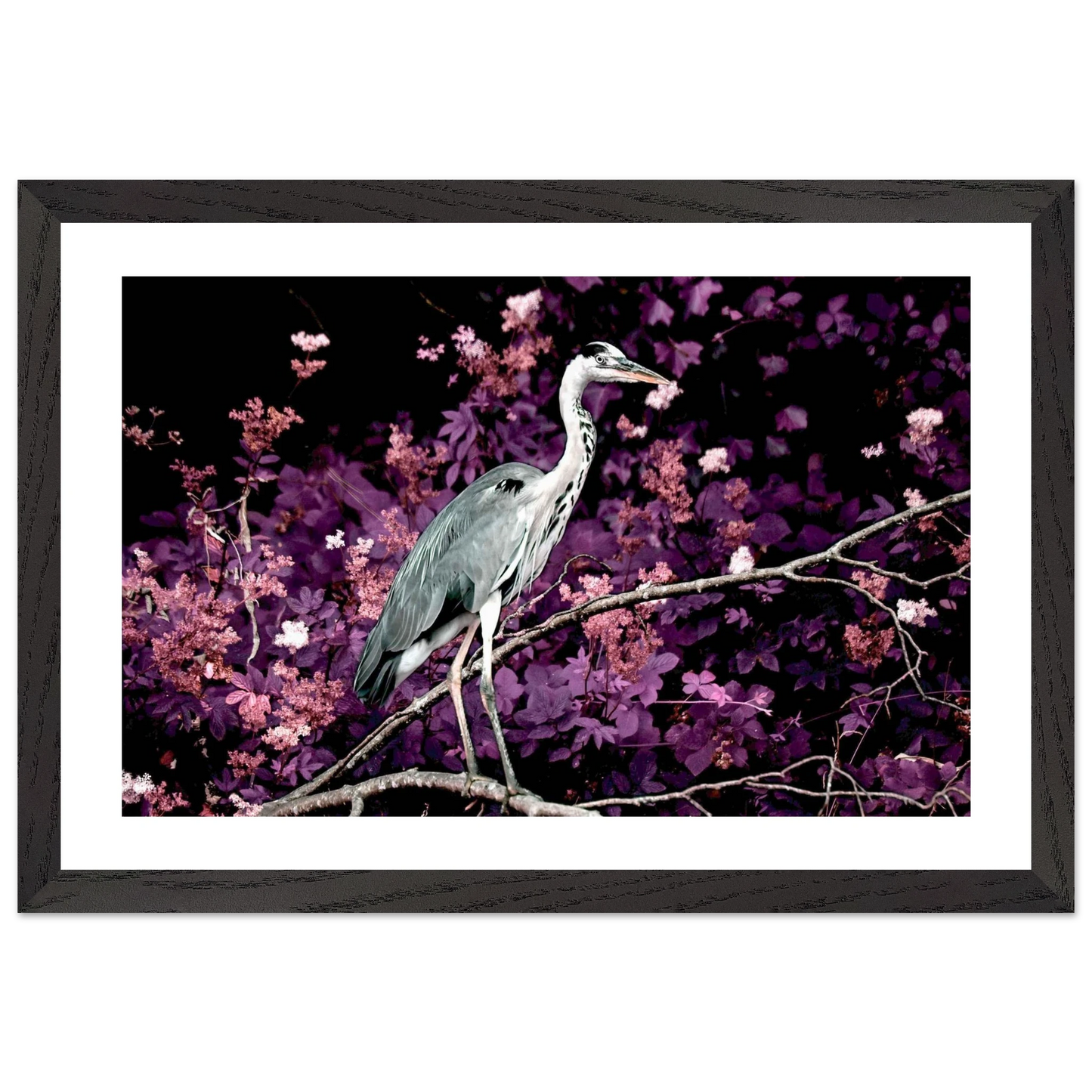 8187a56f-5182-4464-bb69-524468b0604a