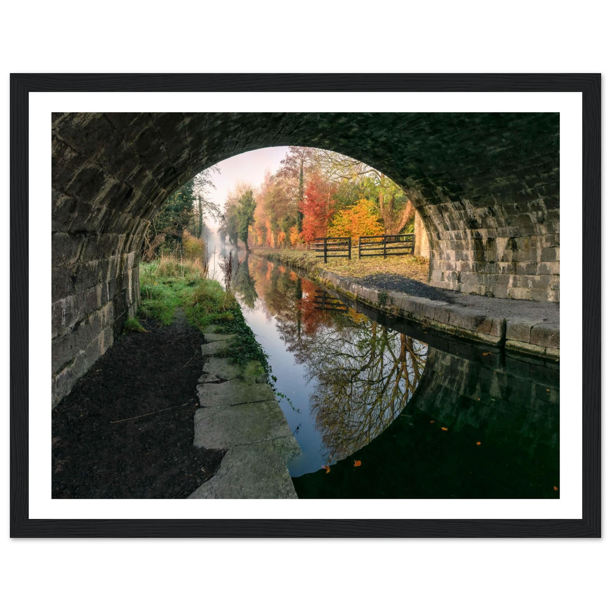 818f2157-fb02-4b37-979f-a7eee3f46061