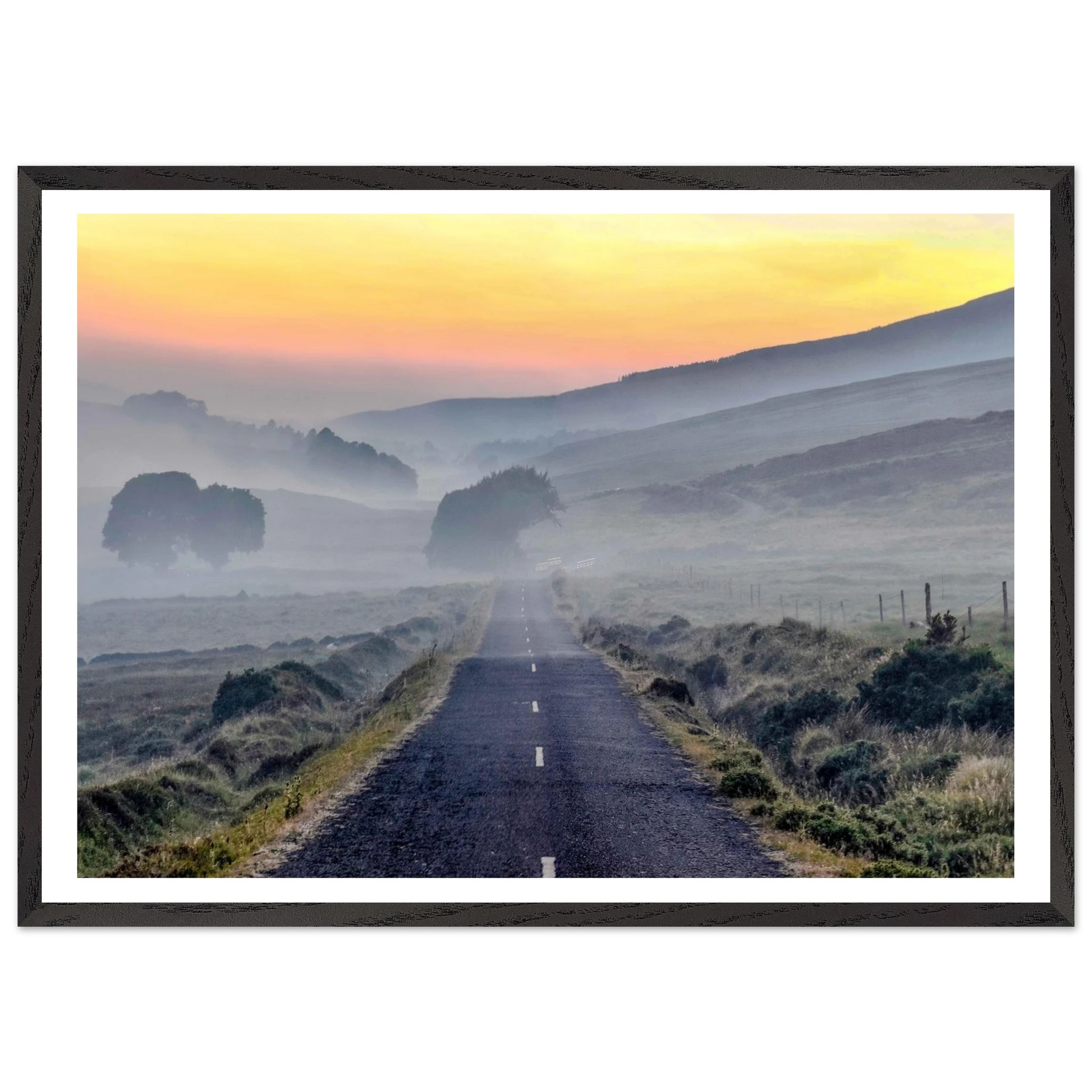 81cf196e-912b-4ec8-ae2f-f345a7df4d3c