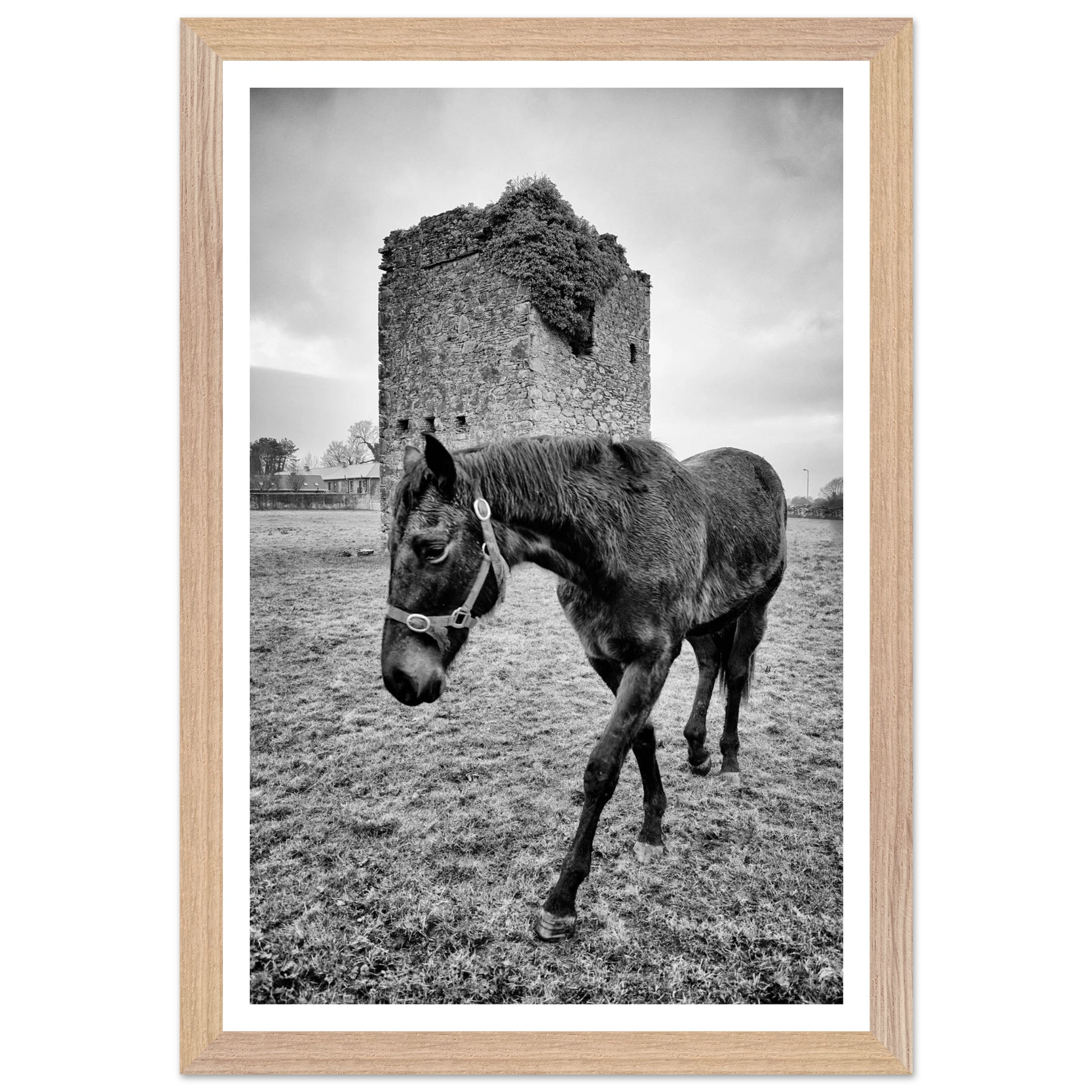 81d80ff0-edb8-47a7-889f-bcd66de239ed