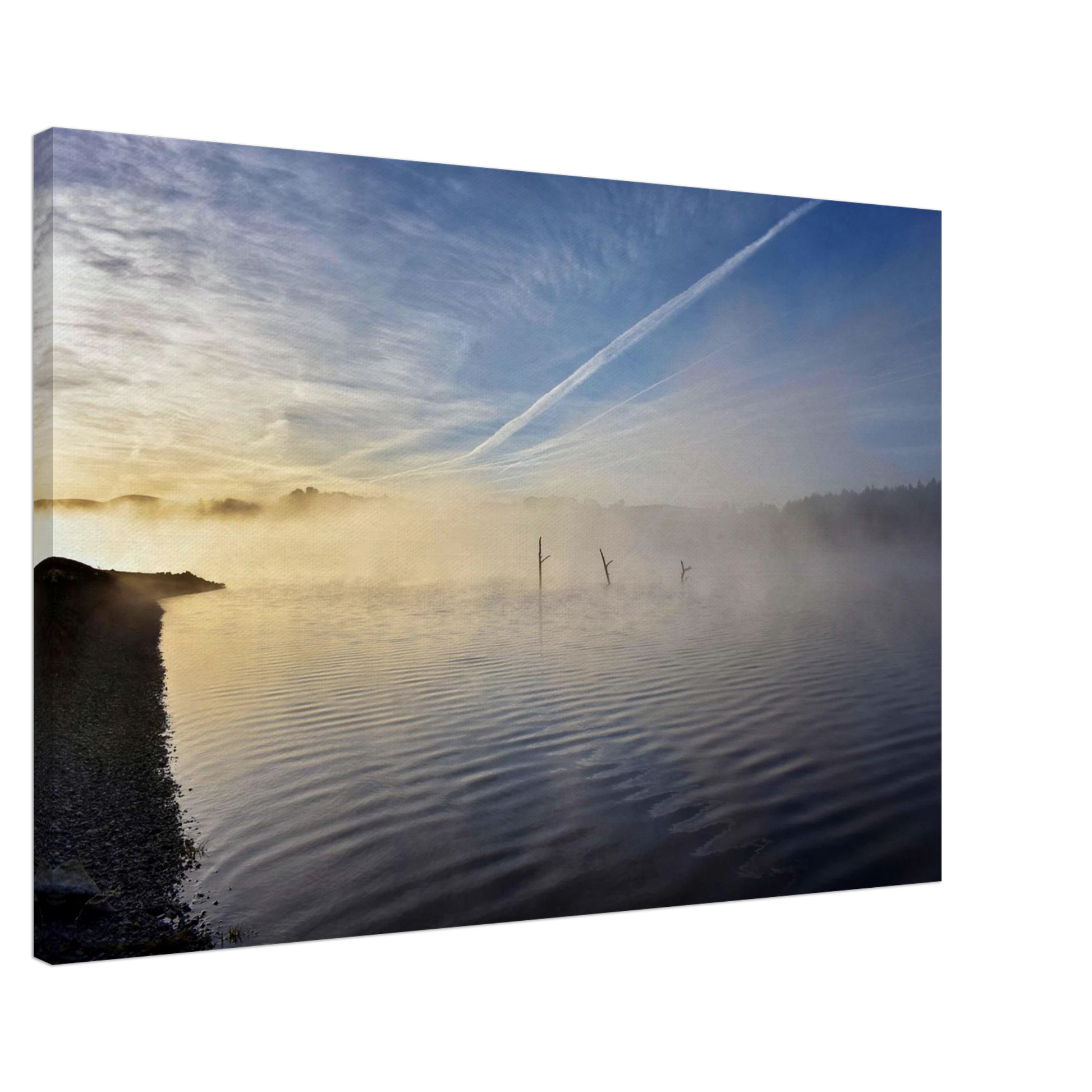 81edf837-006b-4d81-8aa0-717032d72091