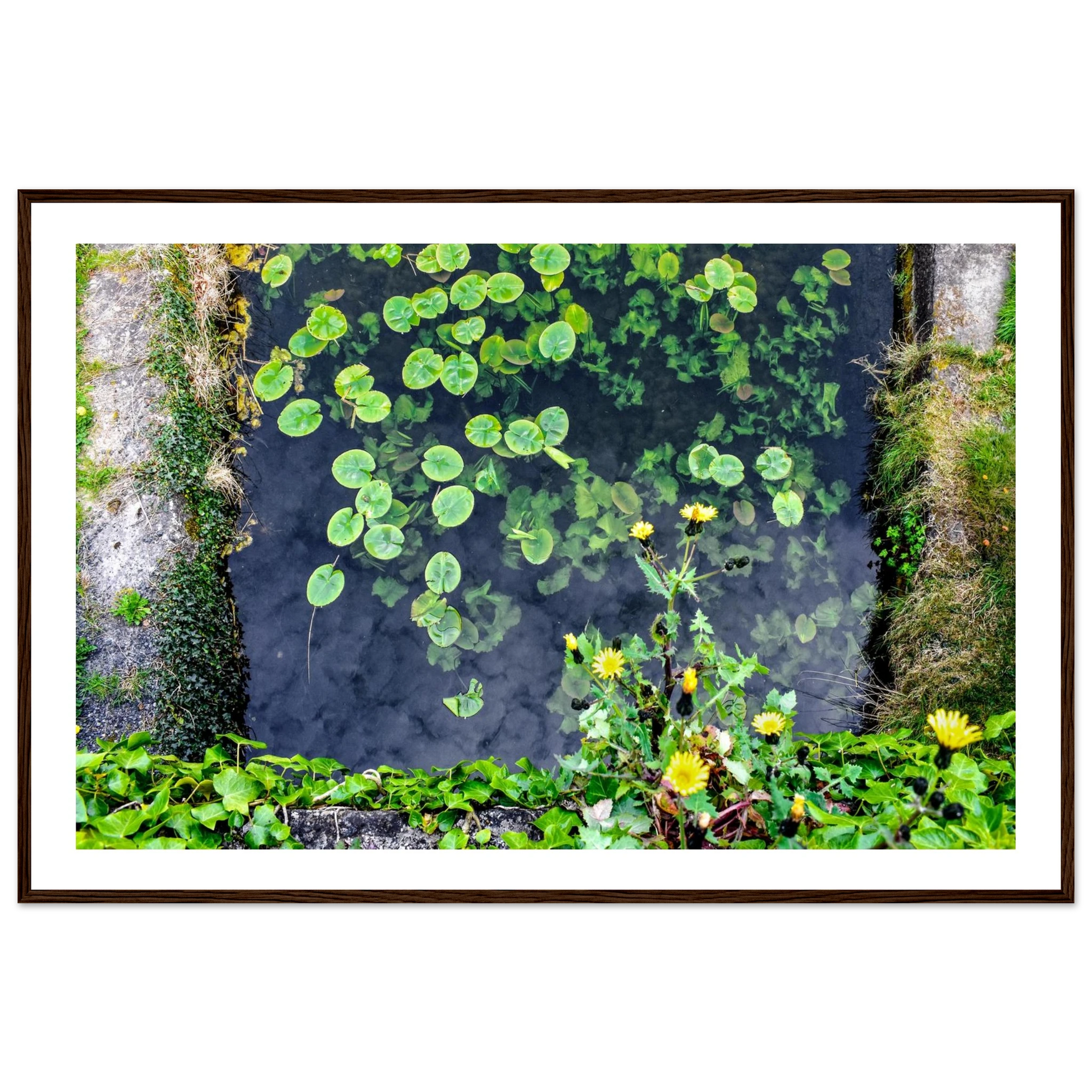 8250b320-7087-42f9-bea5-b52db0537f57