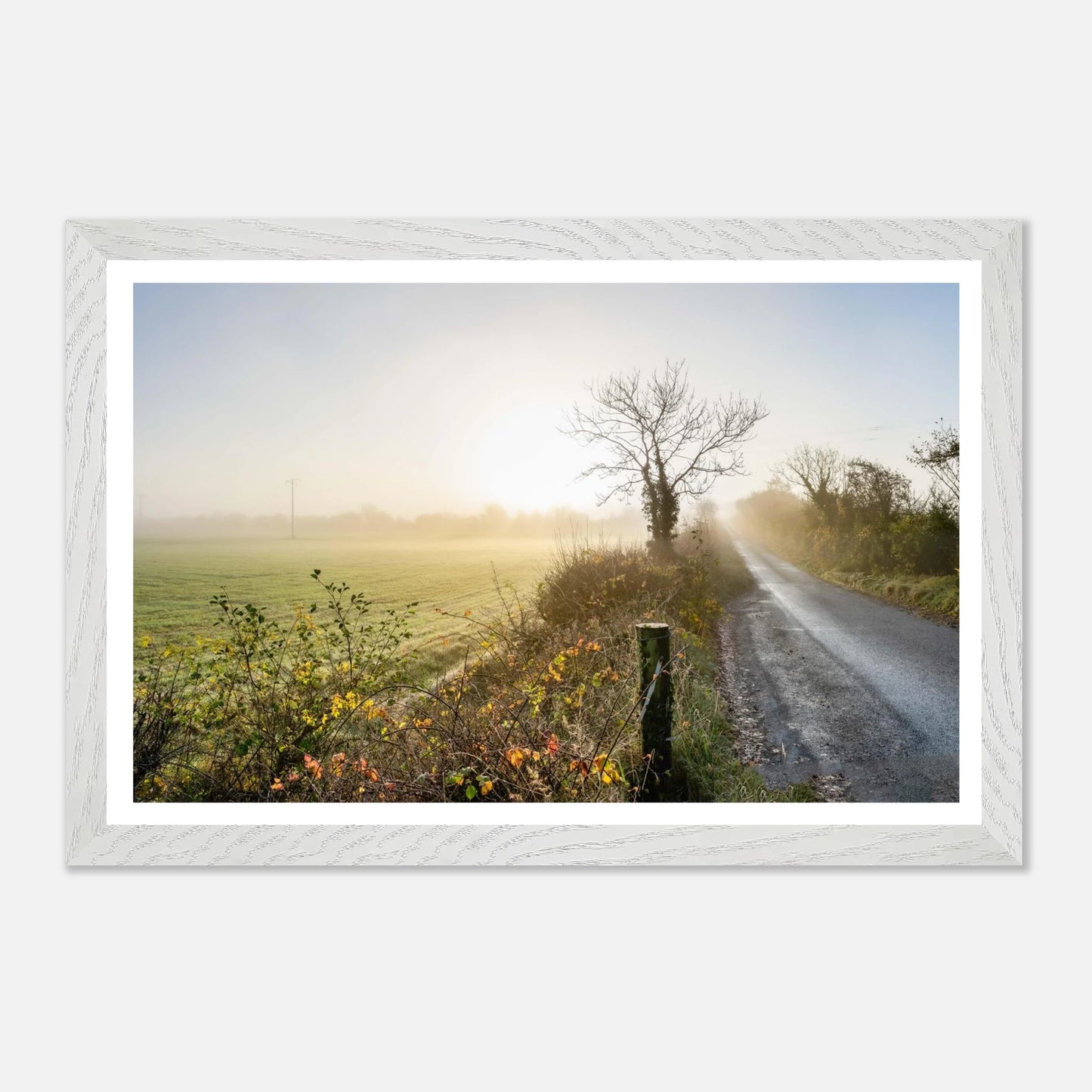 827994dd-1ca0-41ea-be67-1deb65063098