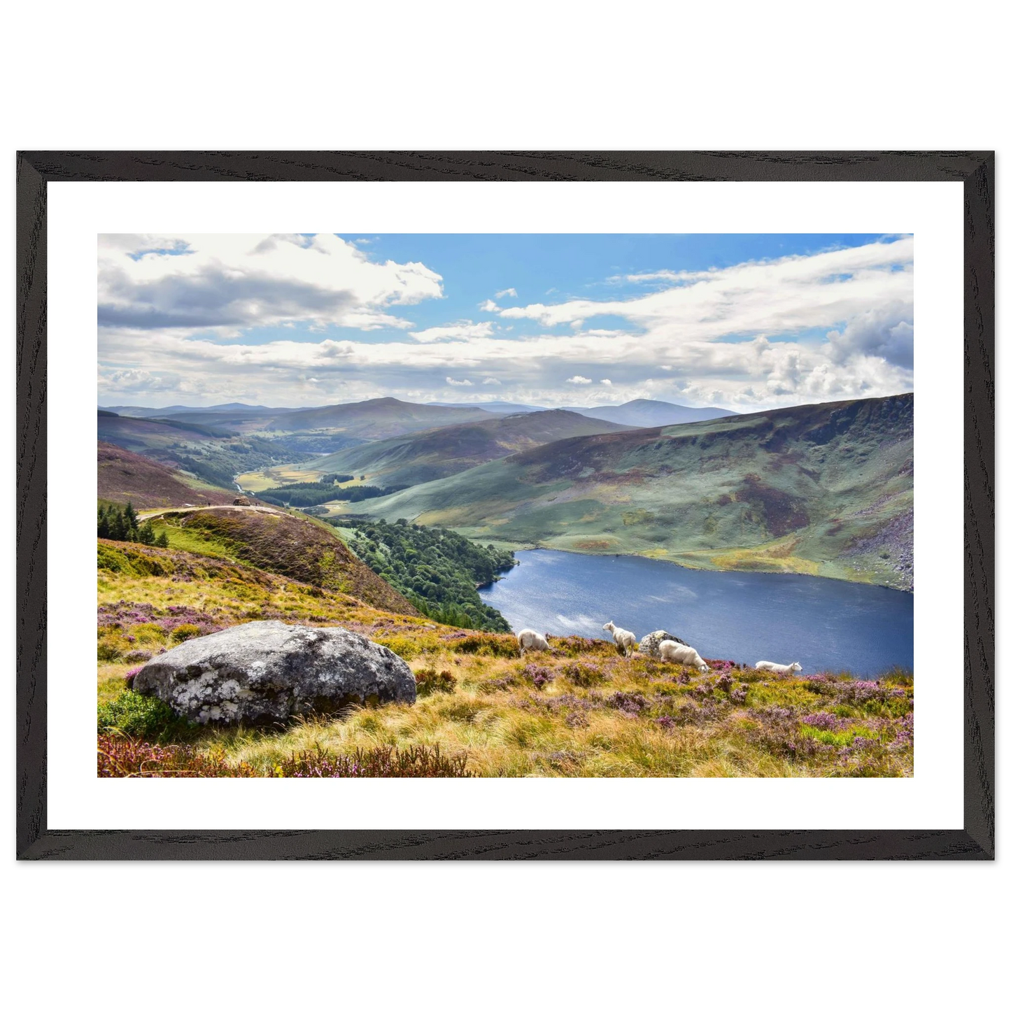 834d04e3-05df-4827-919c-23ca238e6e72