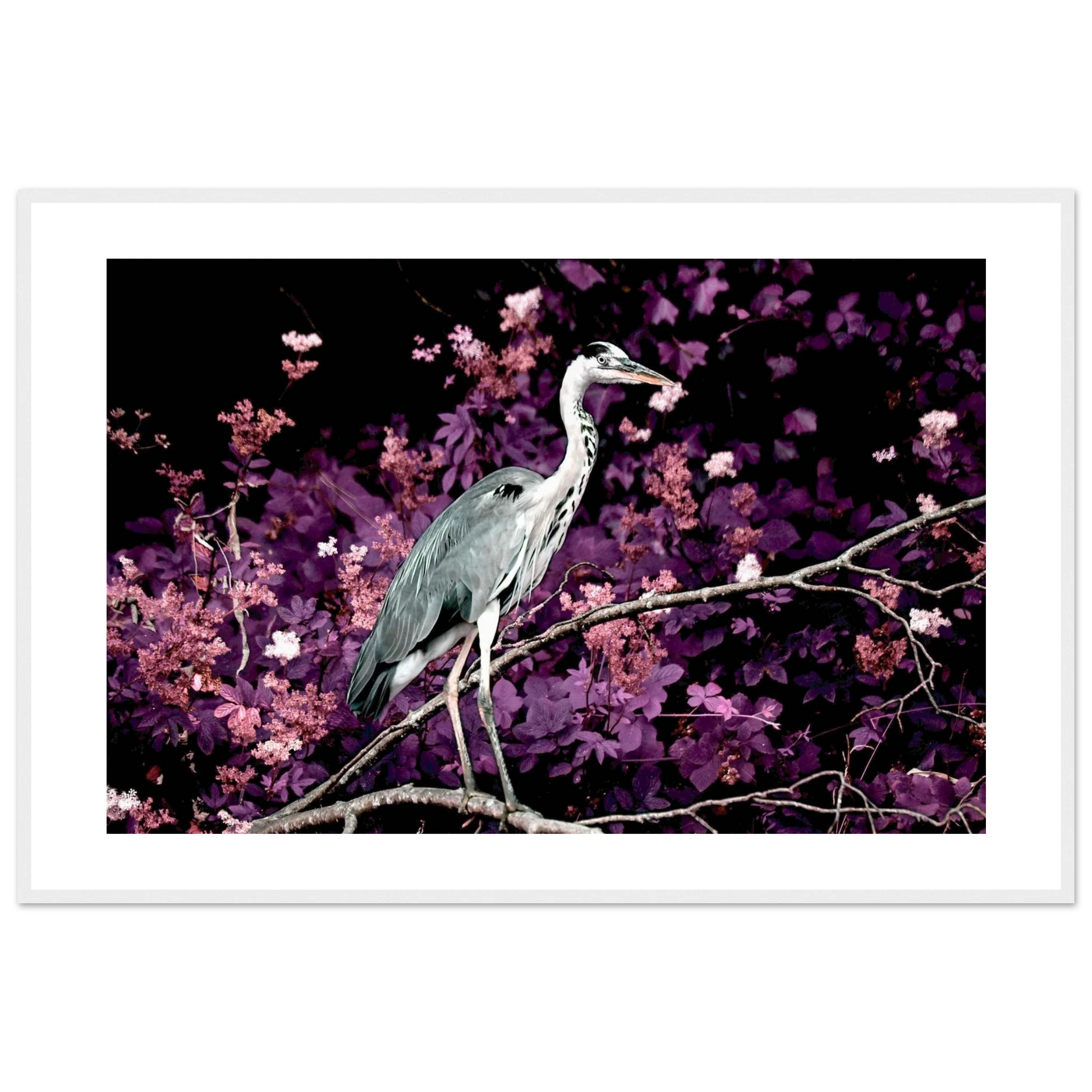 83820dda-c09d-439a-a29d-d9a39e997557