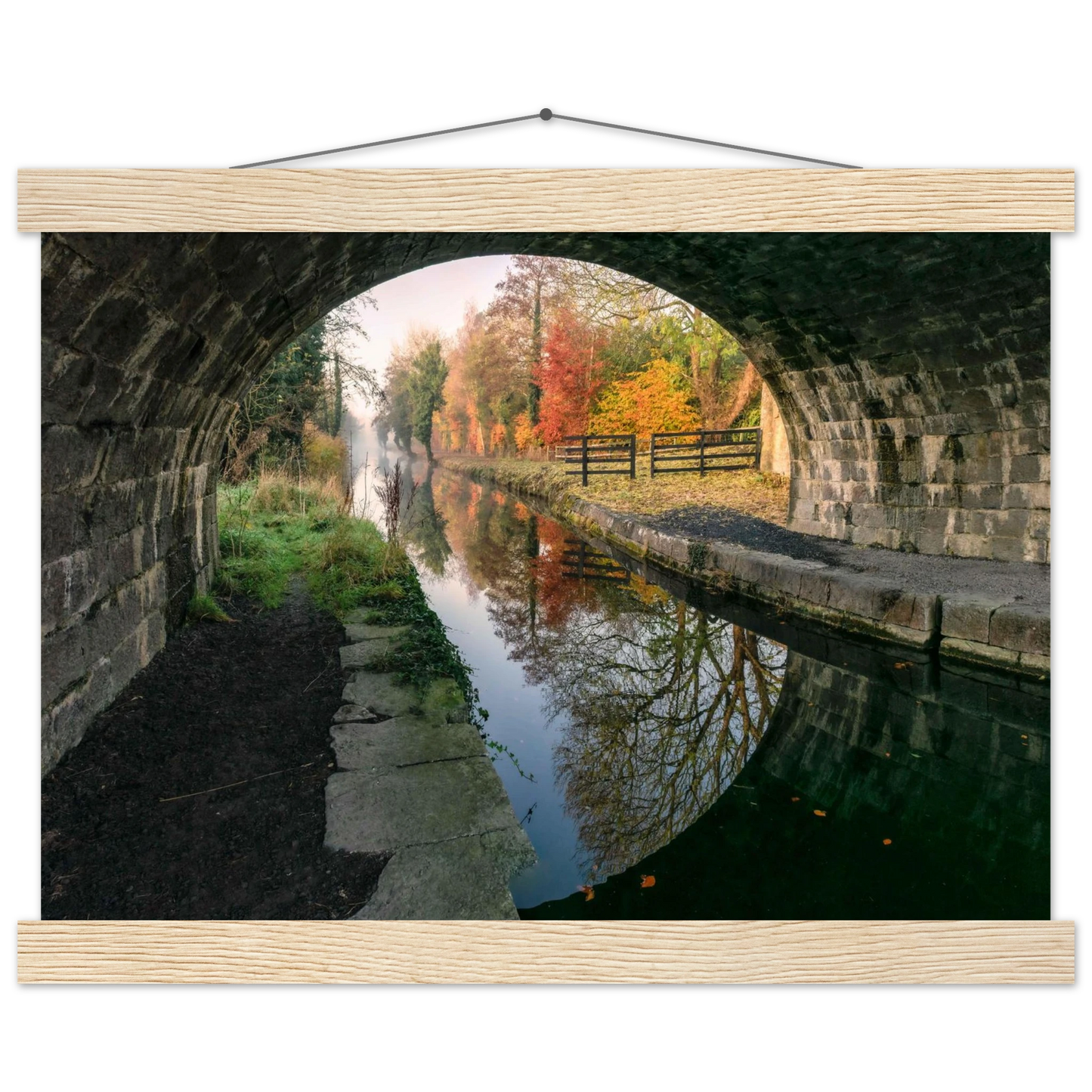 84506341-46d6-4779-98df-5abeef260e3b