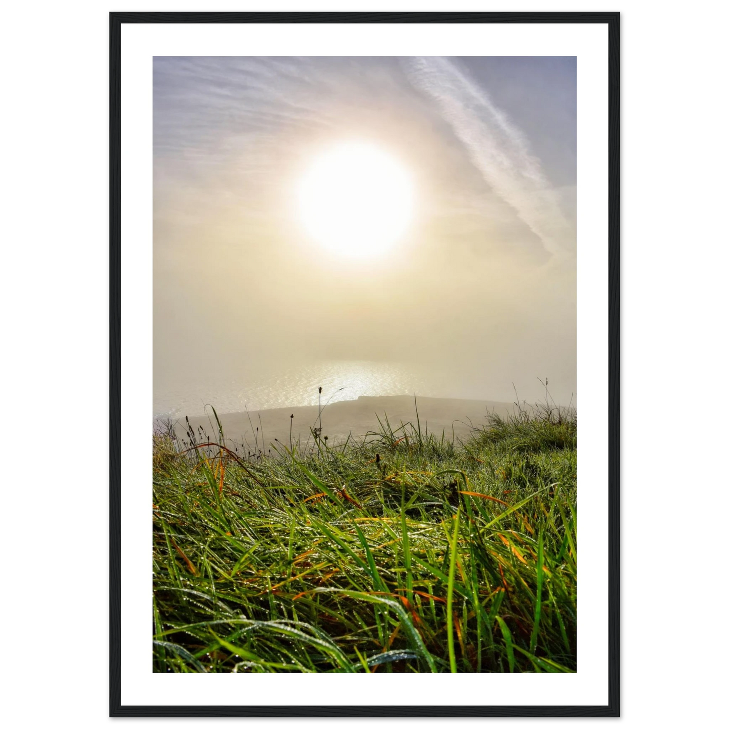 84638595-f6ec-4d26-b32f-f7054678c1b5