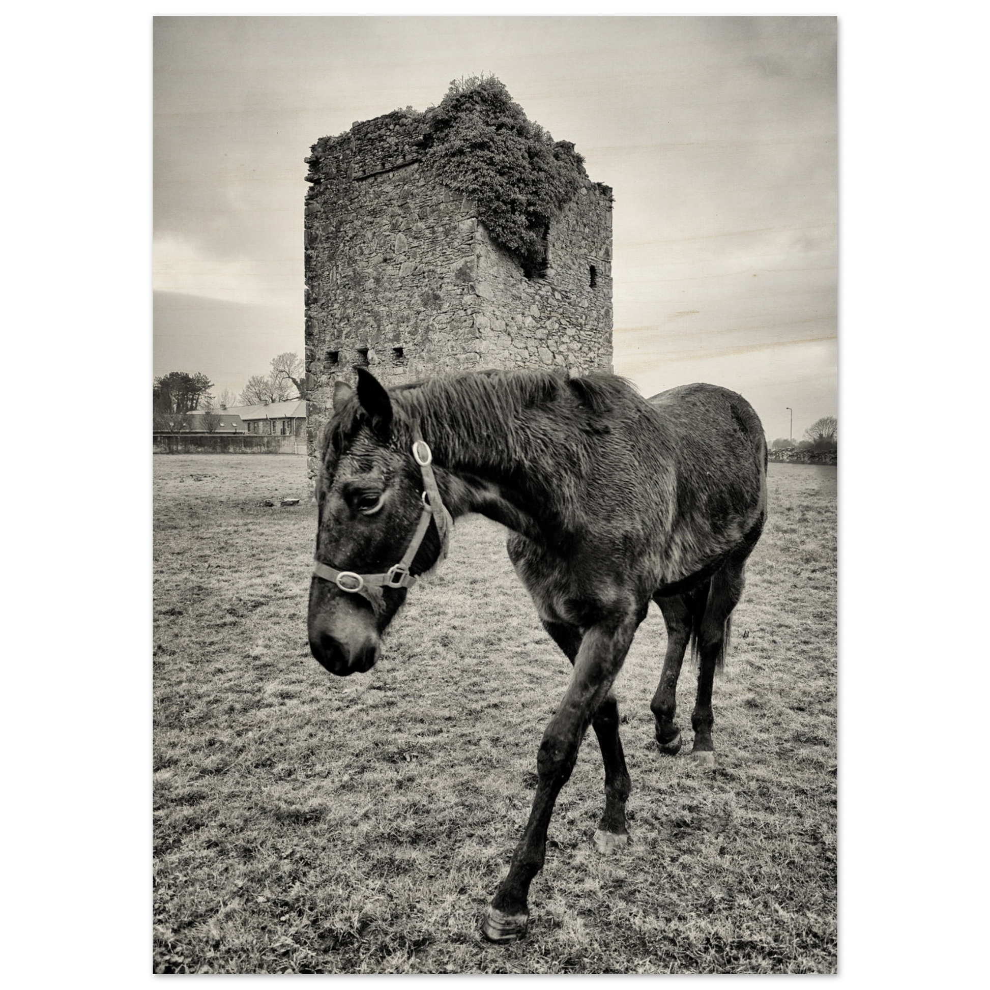 846acded-b6ce-40a4-b62d-d74dd0d73bb7