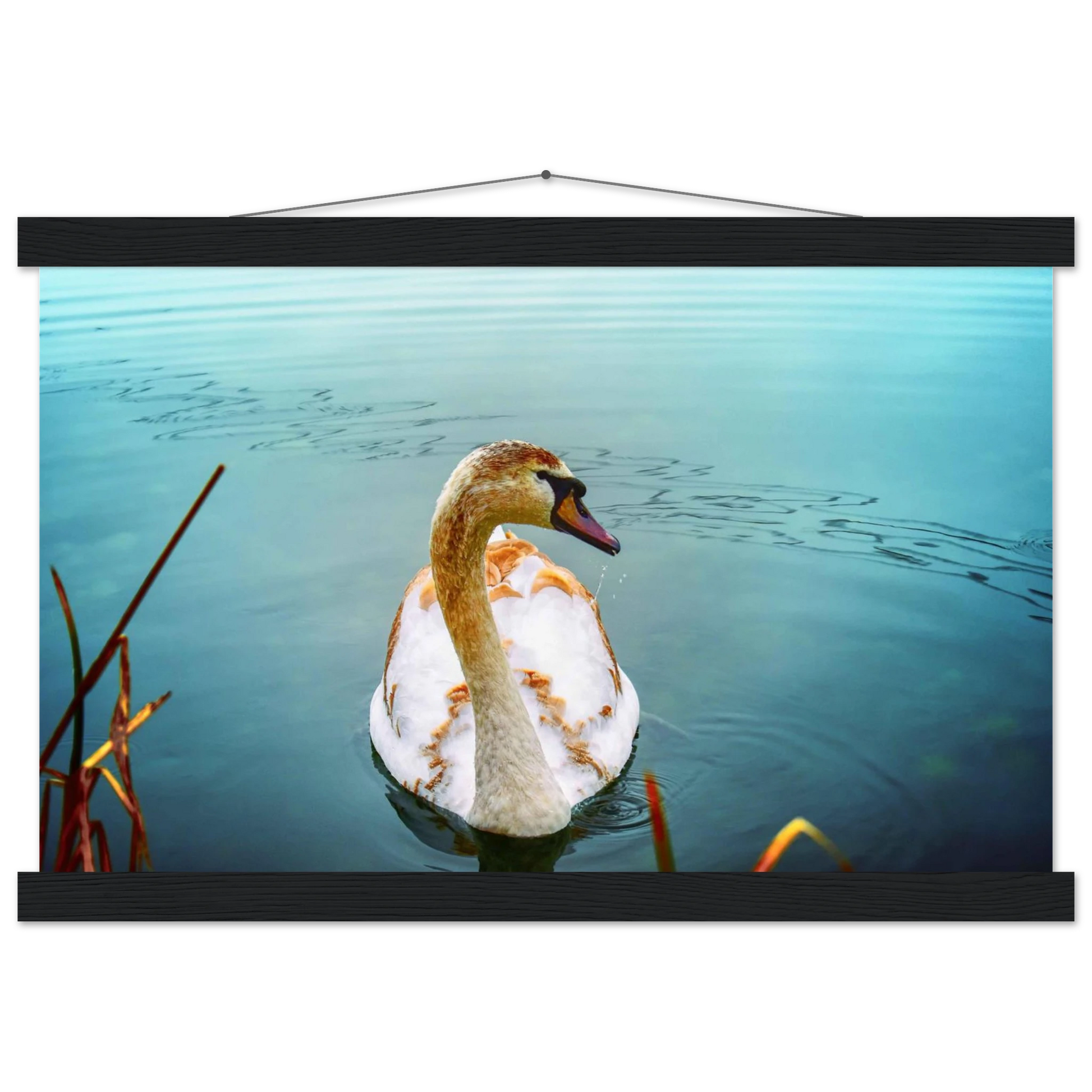 84a0b257-8ac8-4f34-846d-0dfe183ca6a8