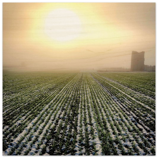 84fe375b-0203-4705-a43c-bbffcd6e057f