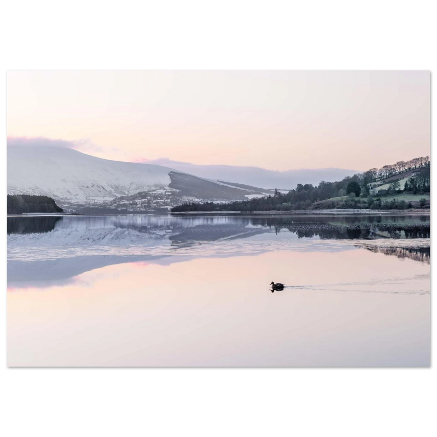 85182a0b-4a6a-4249-b0e6-996faed22da0