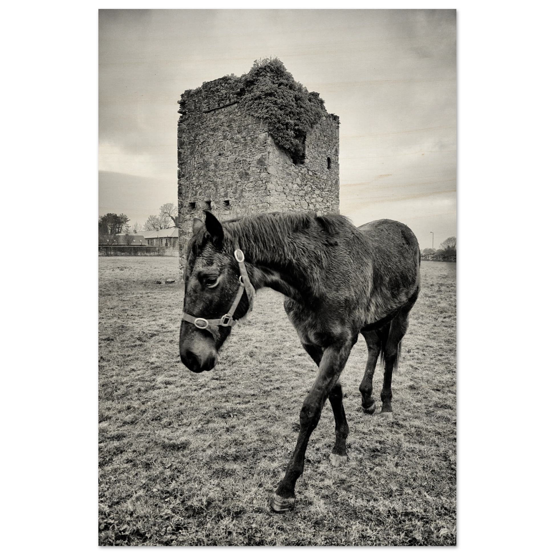 855eeb11-a3b0-4d9c-8f3e-9f14a8707bf6