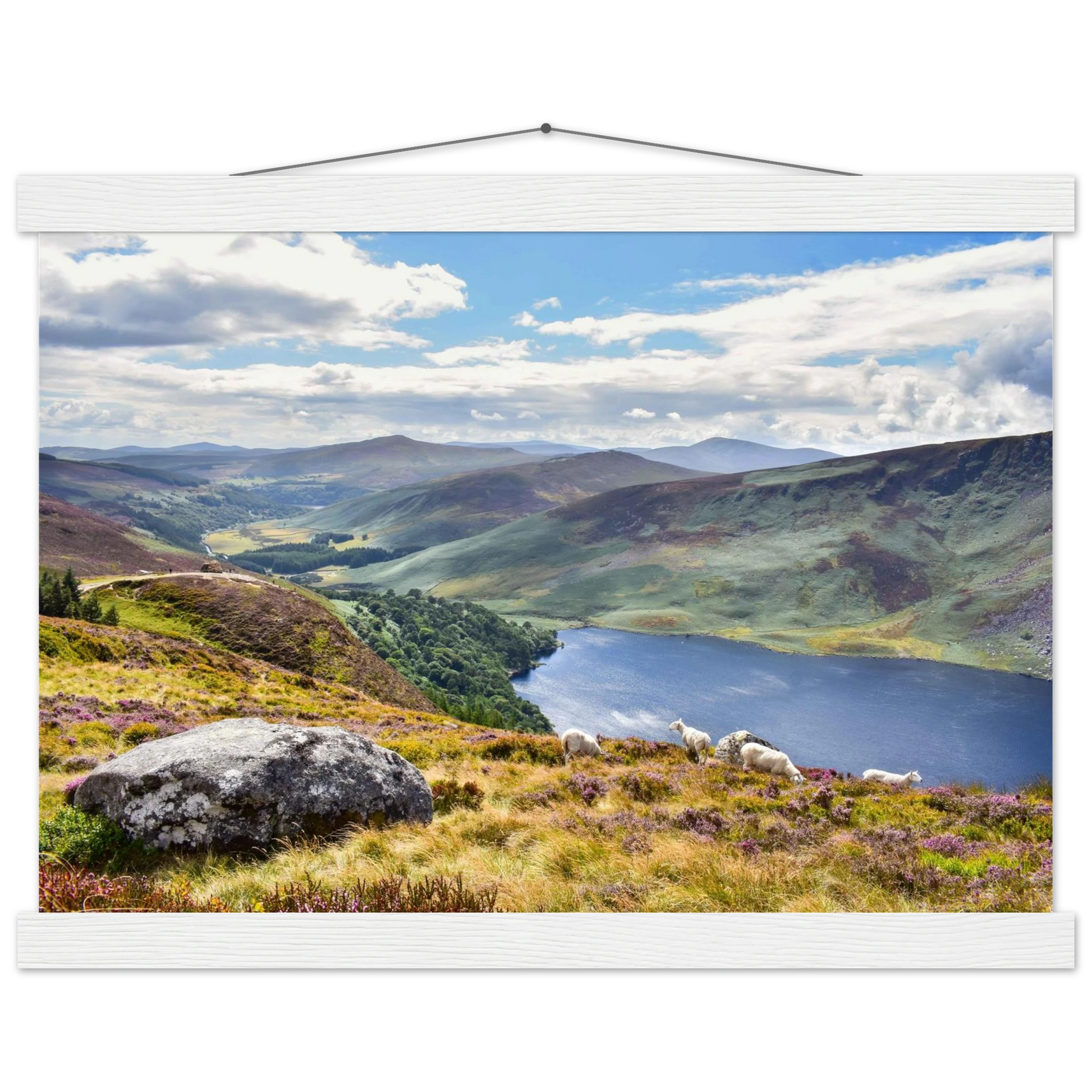 85bfde40-2f2f-4435-ae72-aa4e6dc453c3