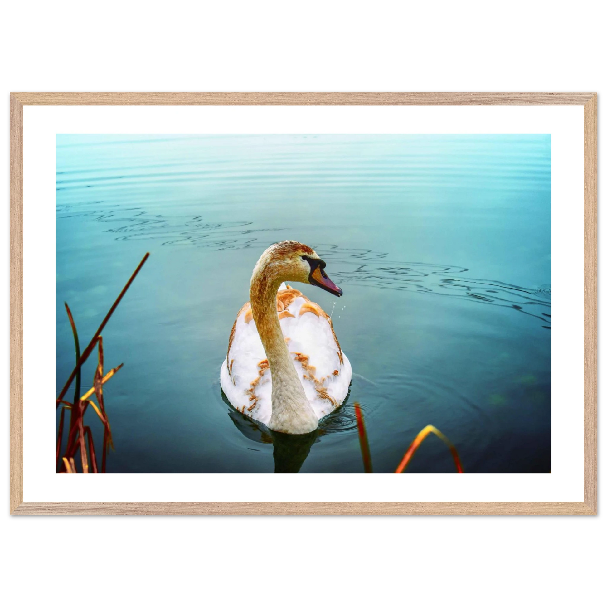 85f735f4-5284-4f52-983d-d5e03c9f9273