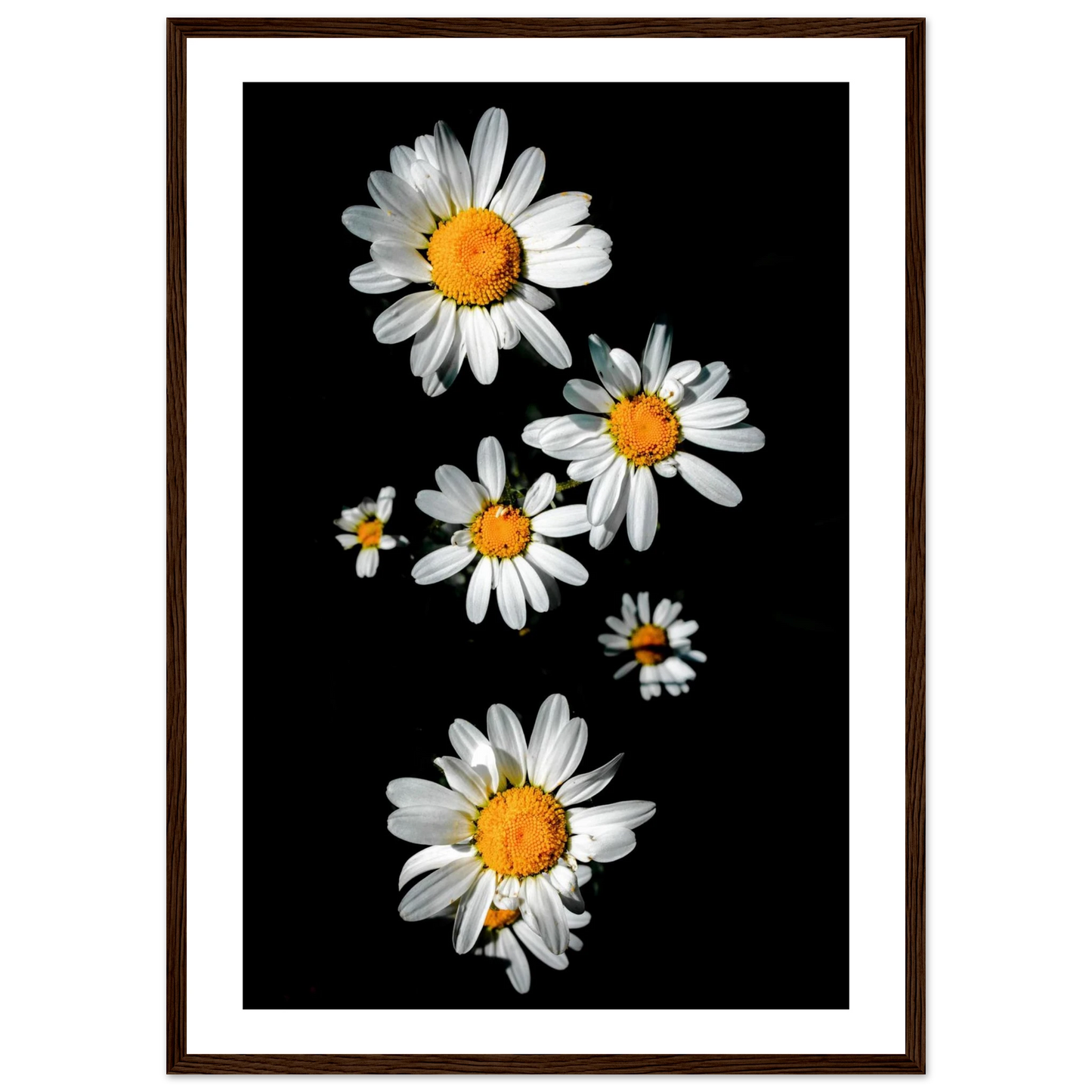 85ff6eae-0abb-44c2-a0ad-77bb0e9a917a