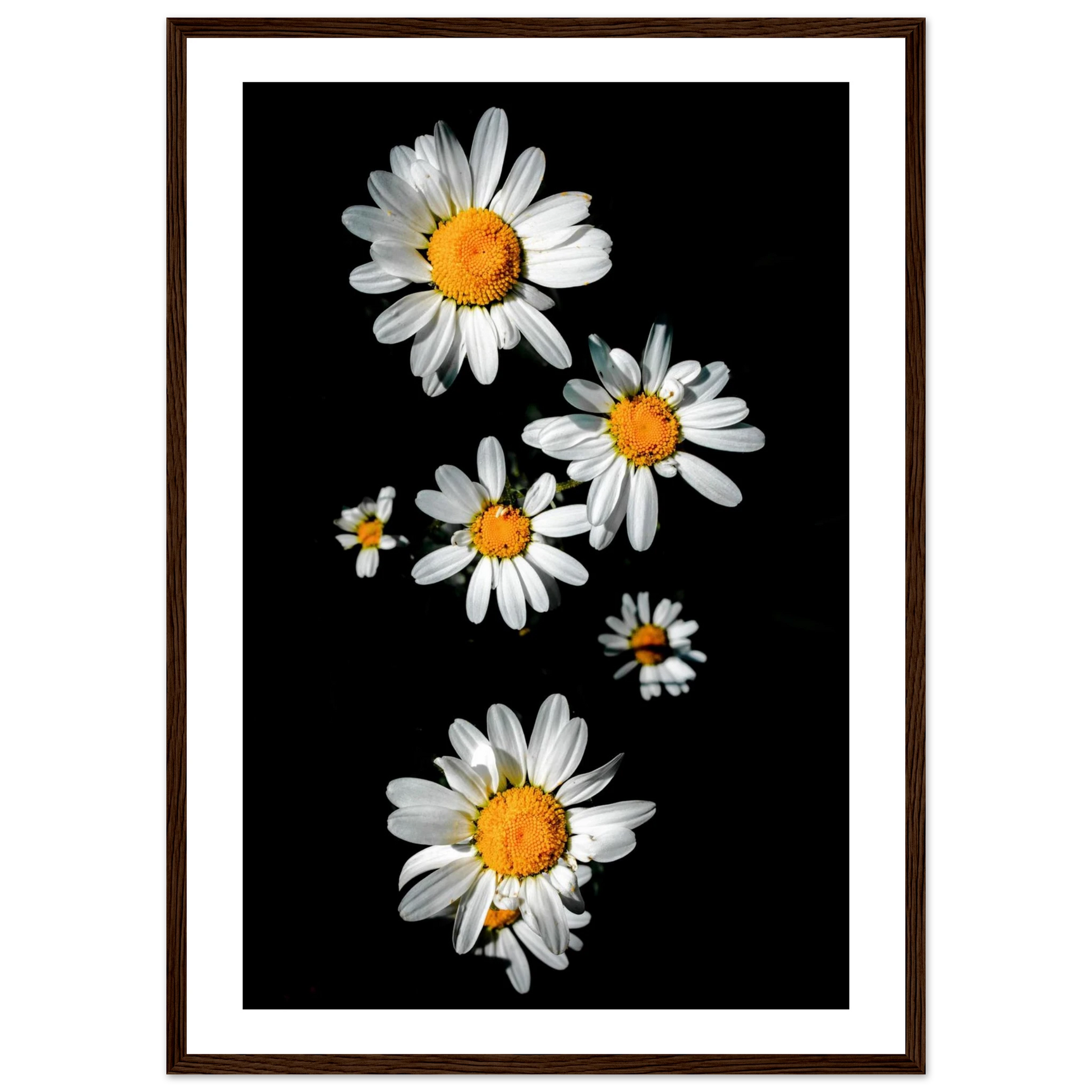 85ff6eae-0abb-44c2-a0ad-77bb0e9a917a