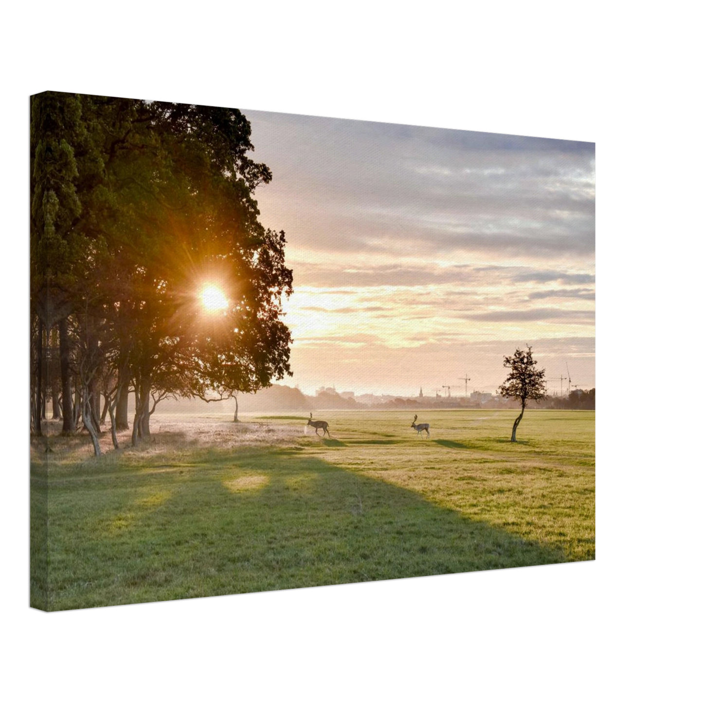 86240e53-dd47-471f-8602-097d3aa9d40d