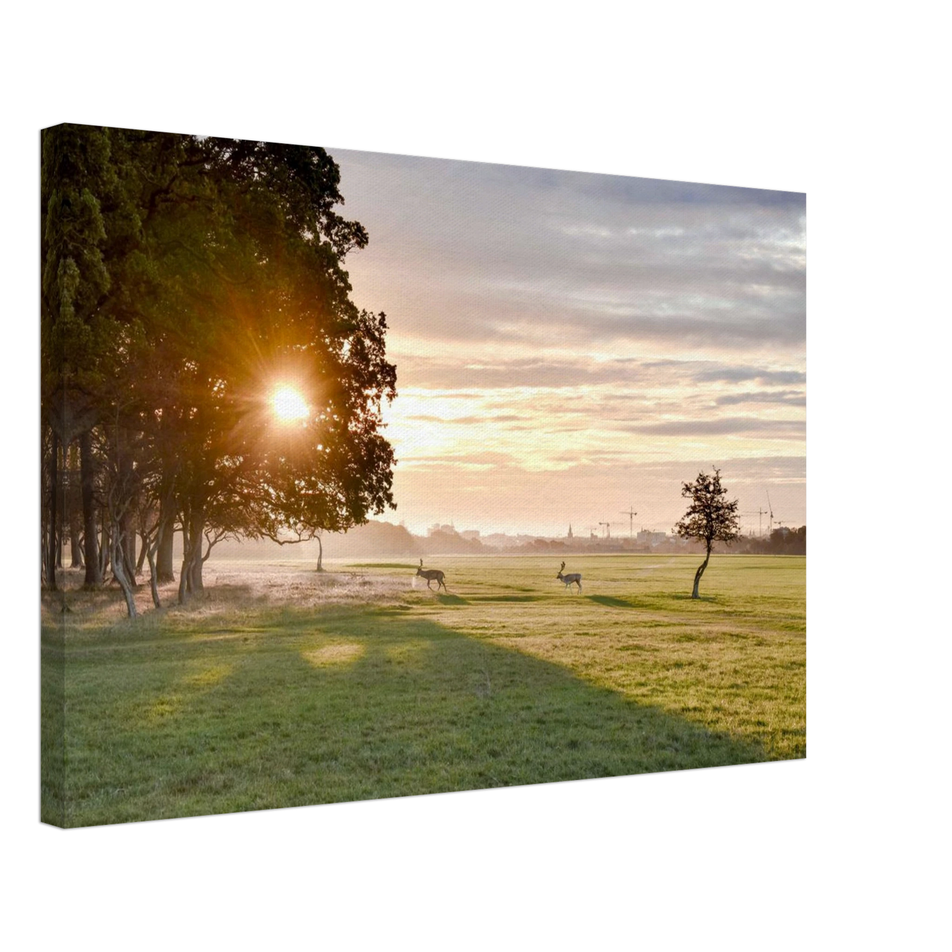 86240e53-dd47-471f-8602-097d3aa9d40d