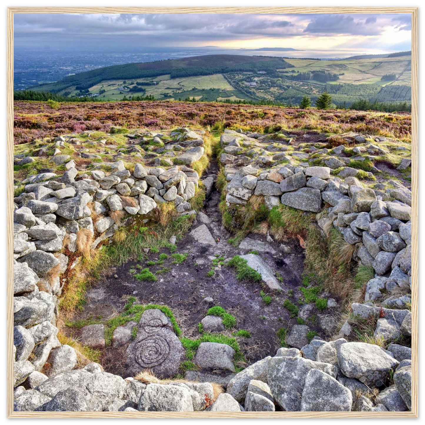 866b5ec2-410b-4025-b76f-a722e880c858