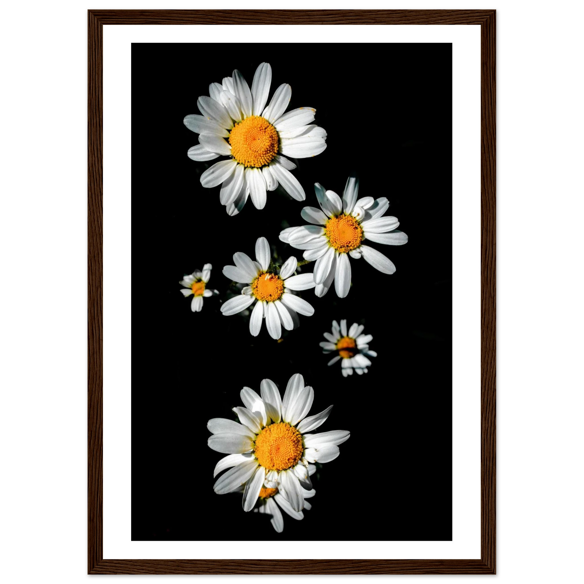 867f661e-91ac-4329-b722-2f31dde76841