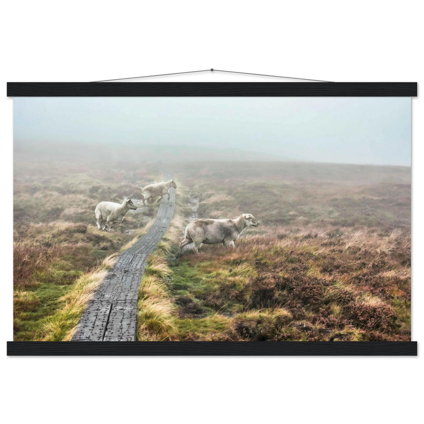 86abd1d1-bf9a-4d5c-8b83-83a206b6864e