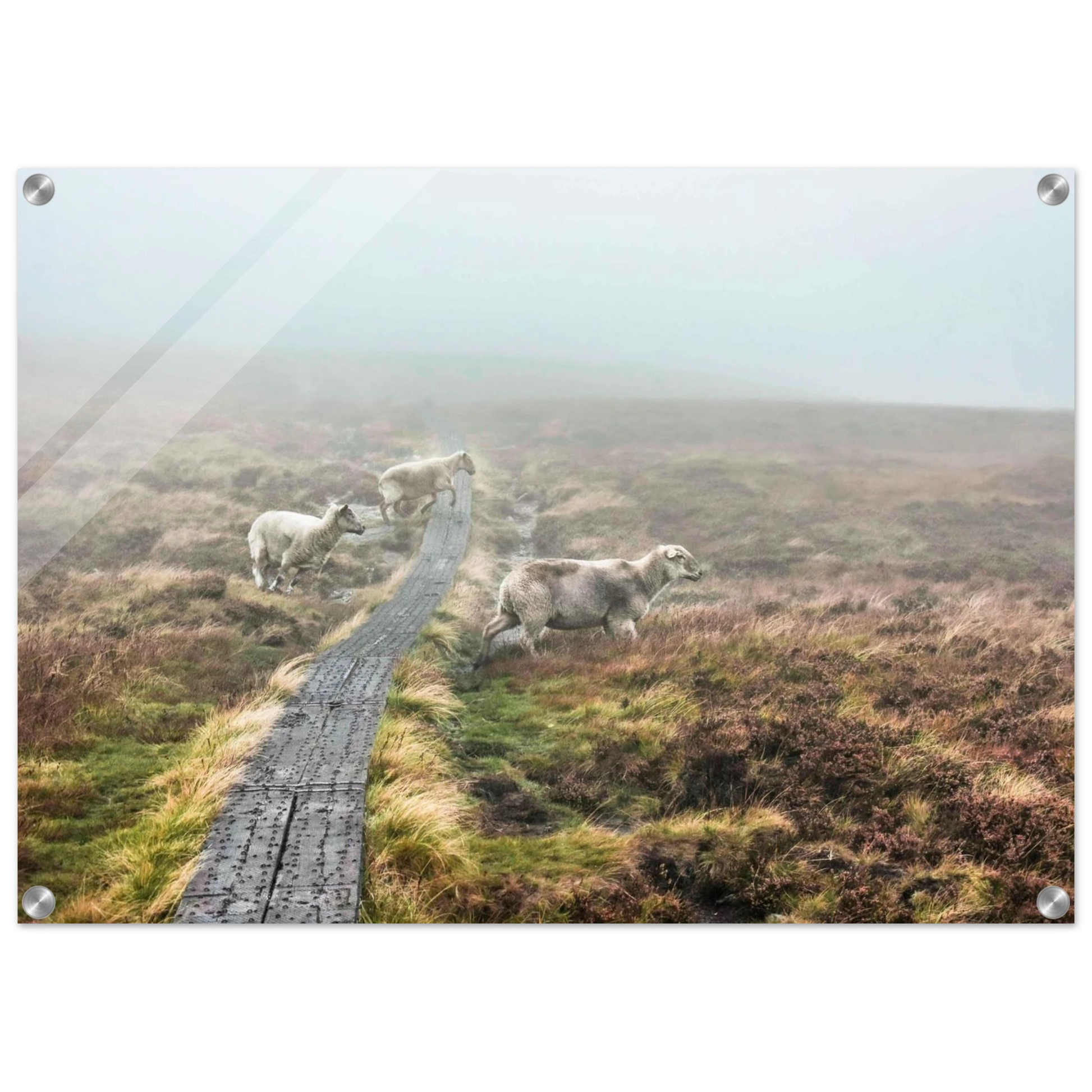 86b6804d-df42-4d7d-a86b-56580c7c9644