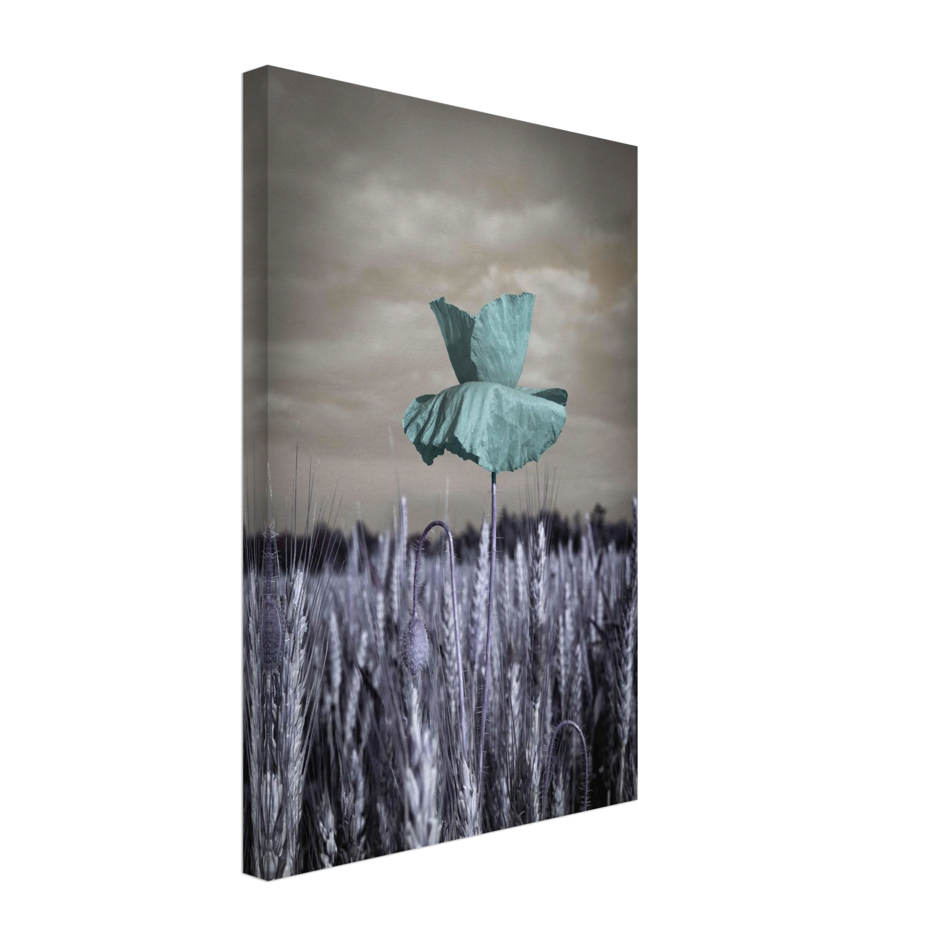 871c6aca-4d2b-4f97-9f35-f9057bd51266