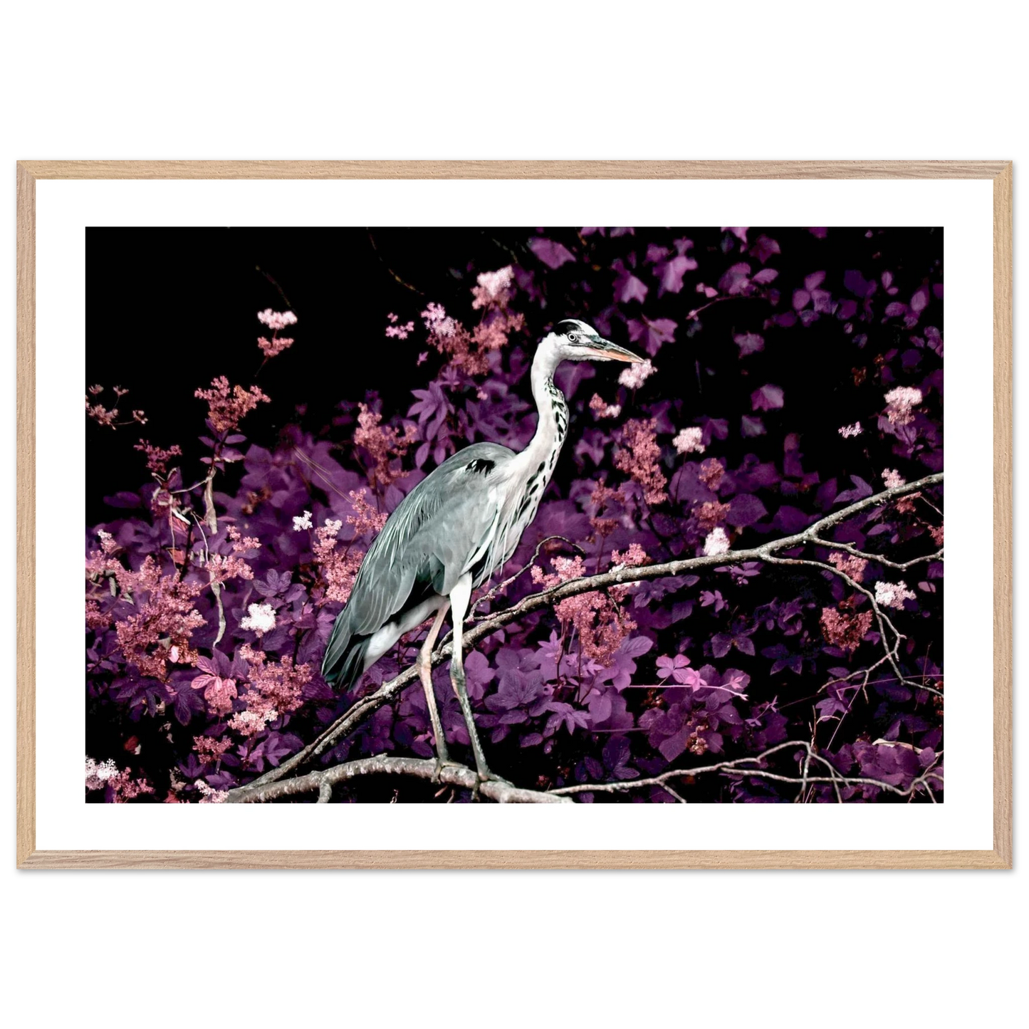 8724476b-957a-411b-942c-b596e1d58e79